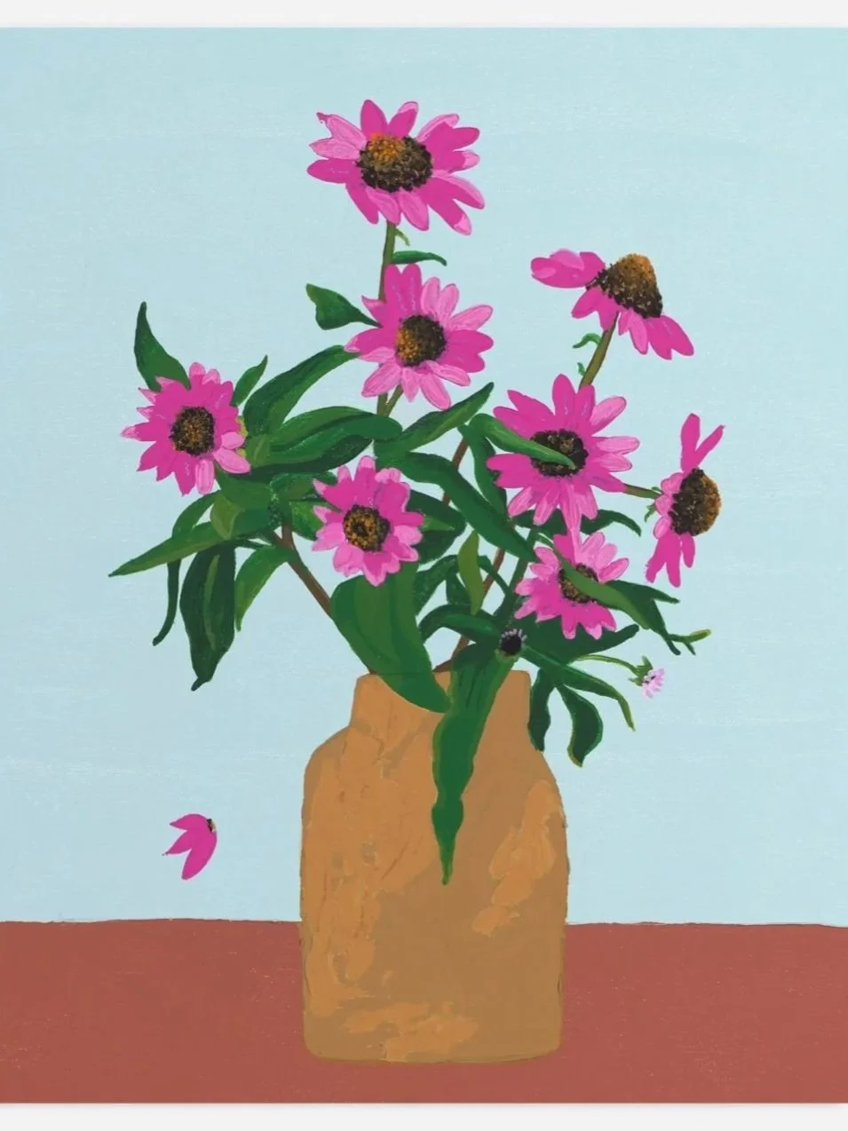 Coneflower Blooms