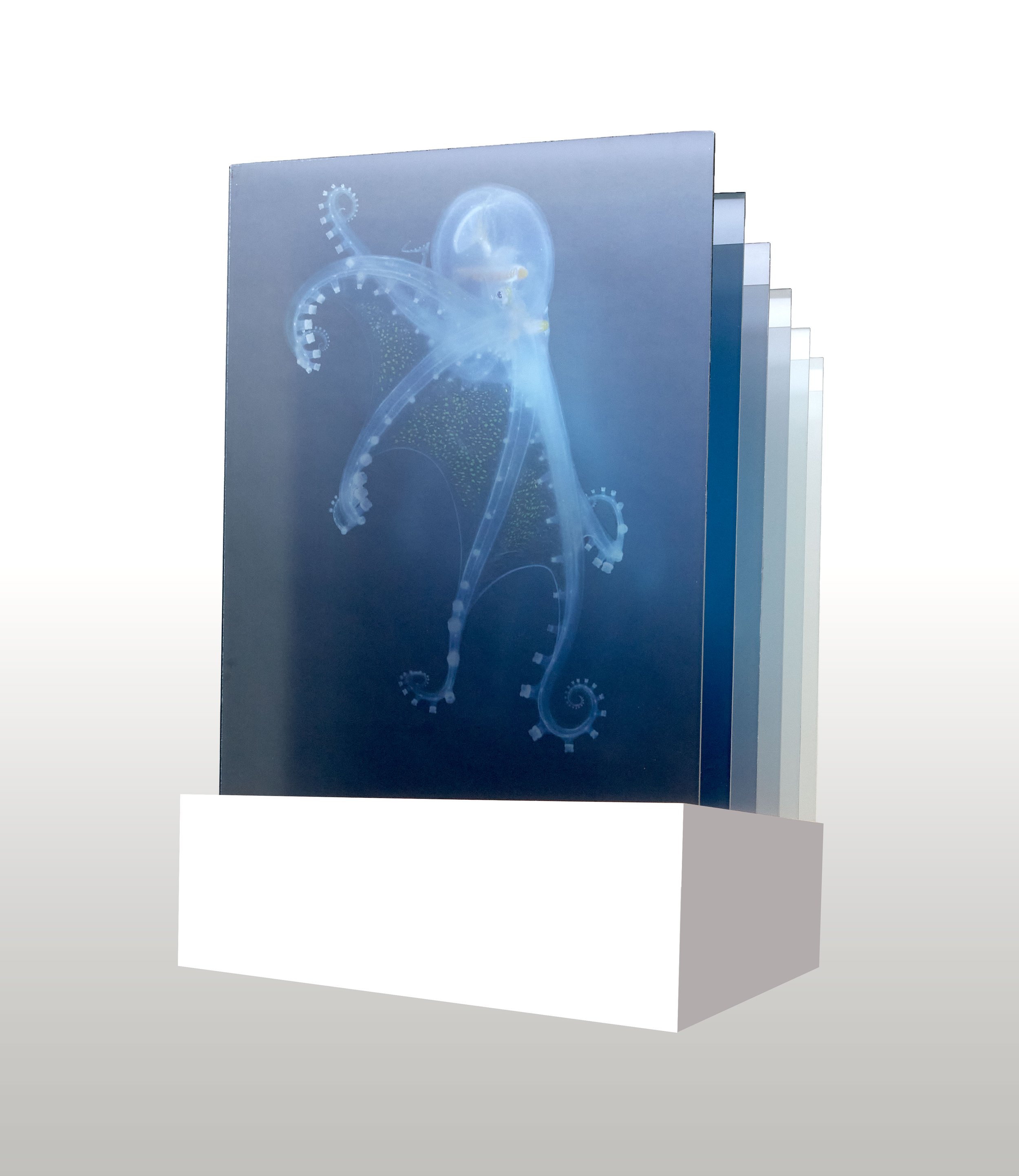 UN Ocean Conference: Vanishing Point: Glass Octopus (see more here)