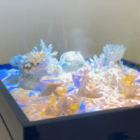 coral mist .gif