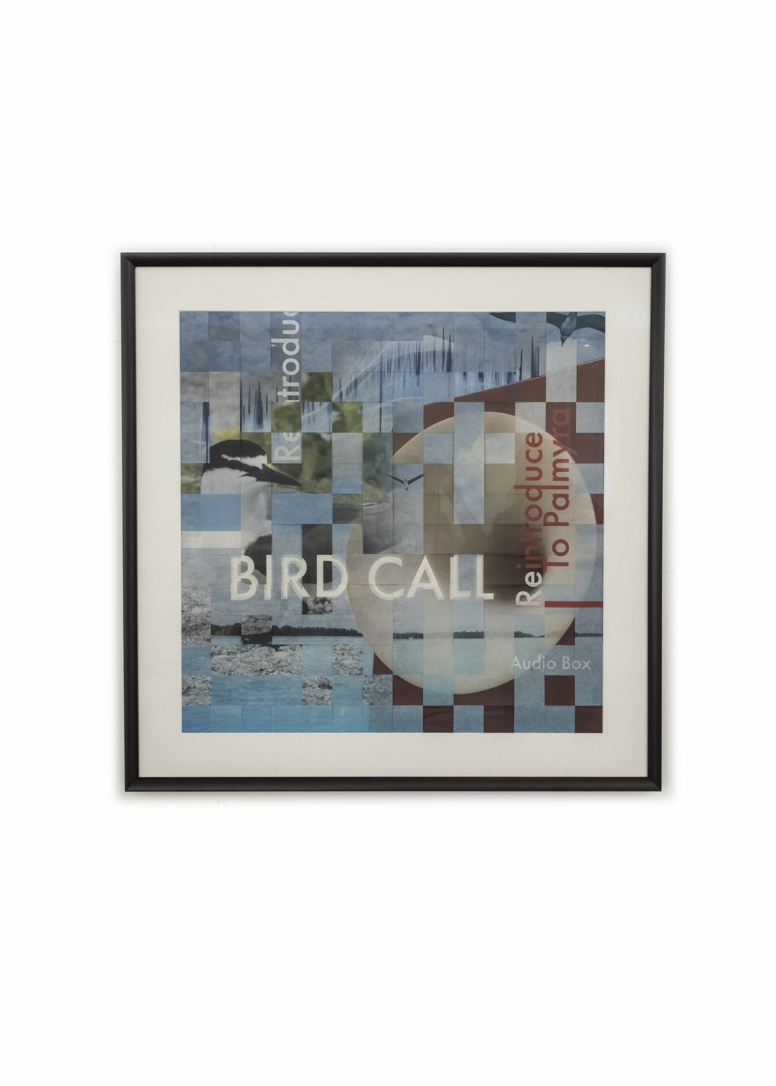 Initiatives: Bird Call