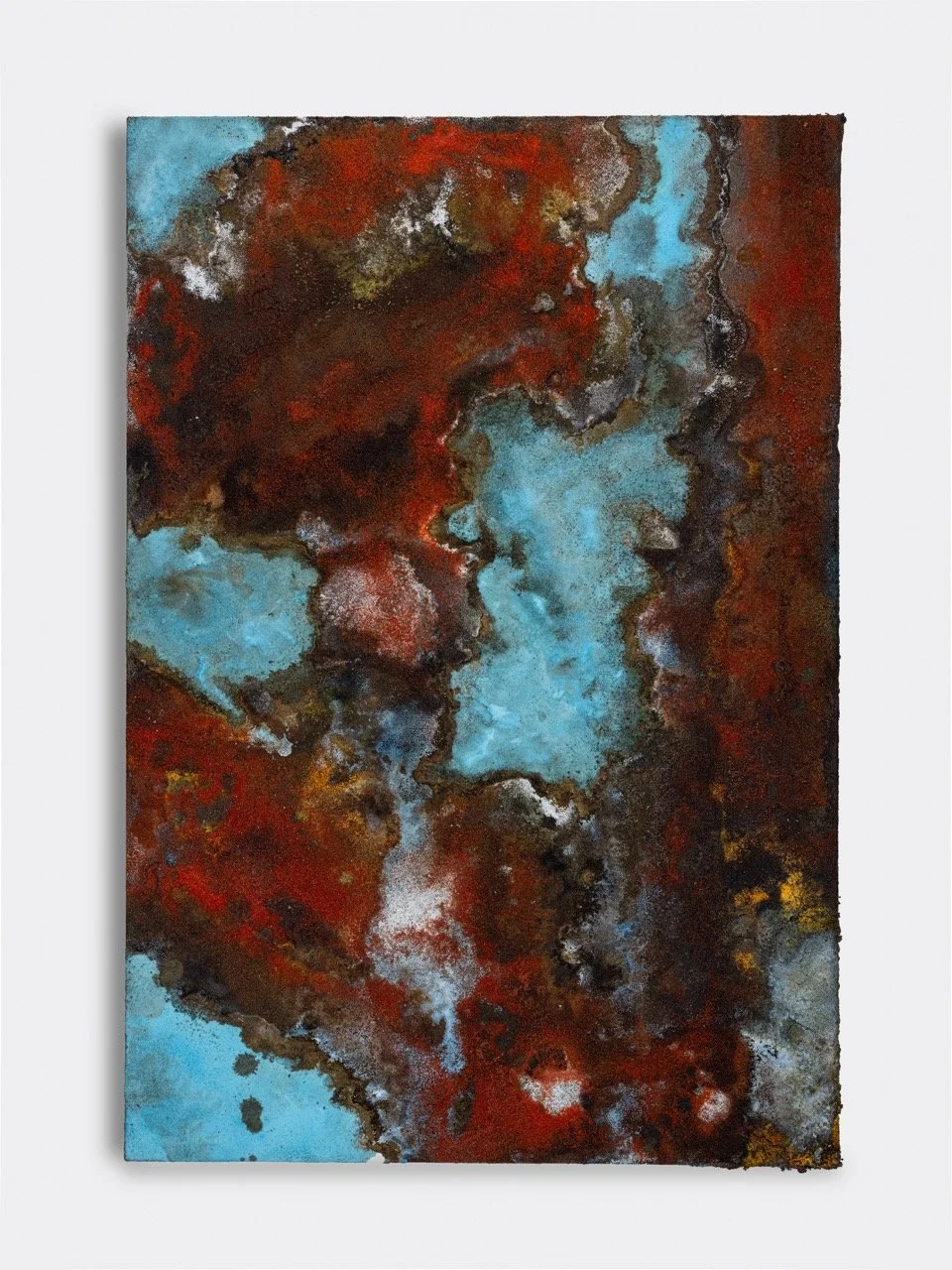 Terasaki_Taiji_Fractal Beauty_2025 Large.jpeg