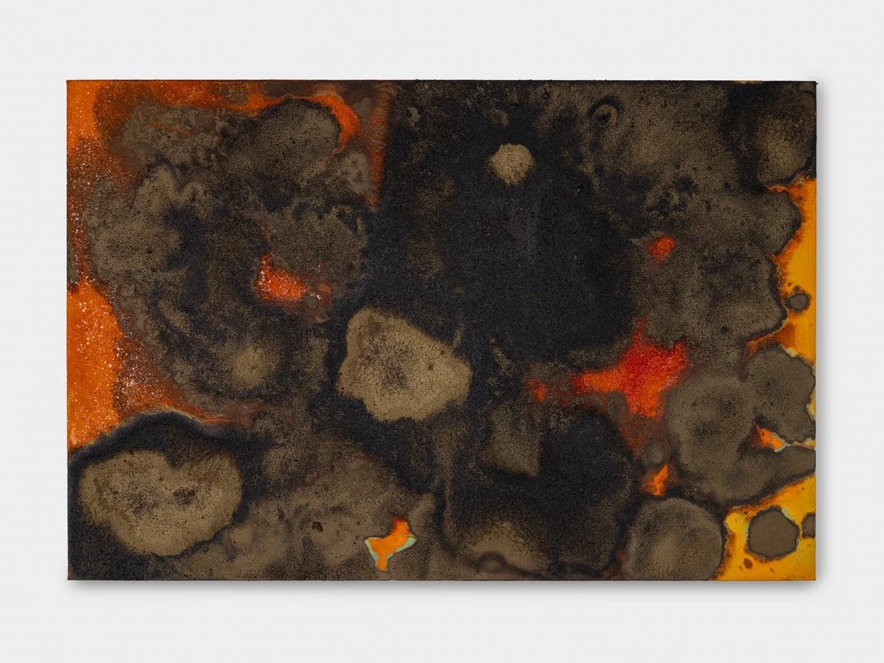 Terasaki_Taiji_Matrix_2025 Large.jpeg