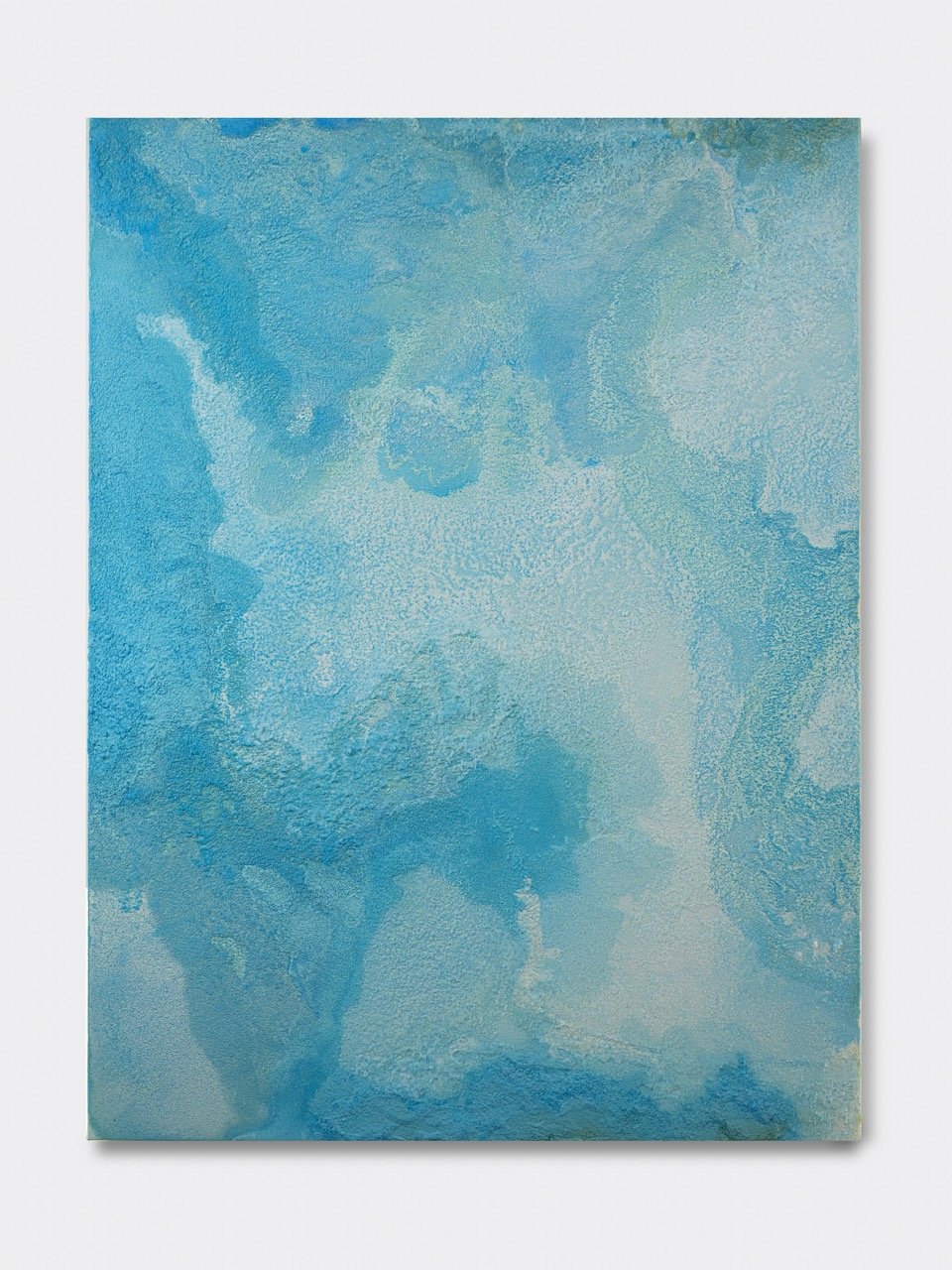 Terasaki_Taiji_Morphogenetic-Bloom_2025 Large.jpeg