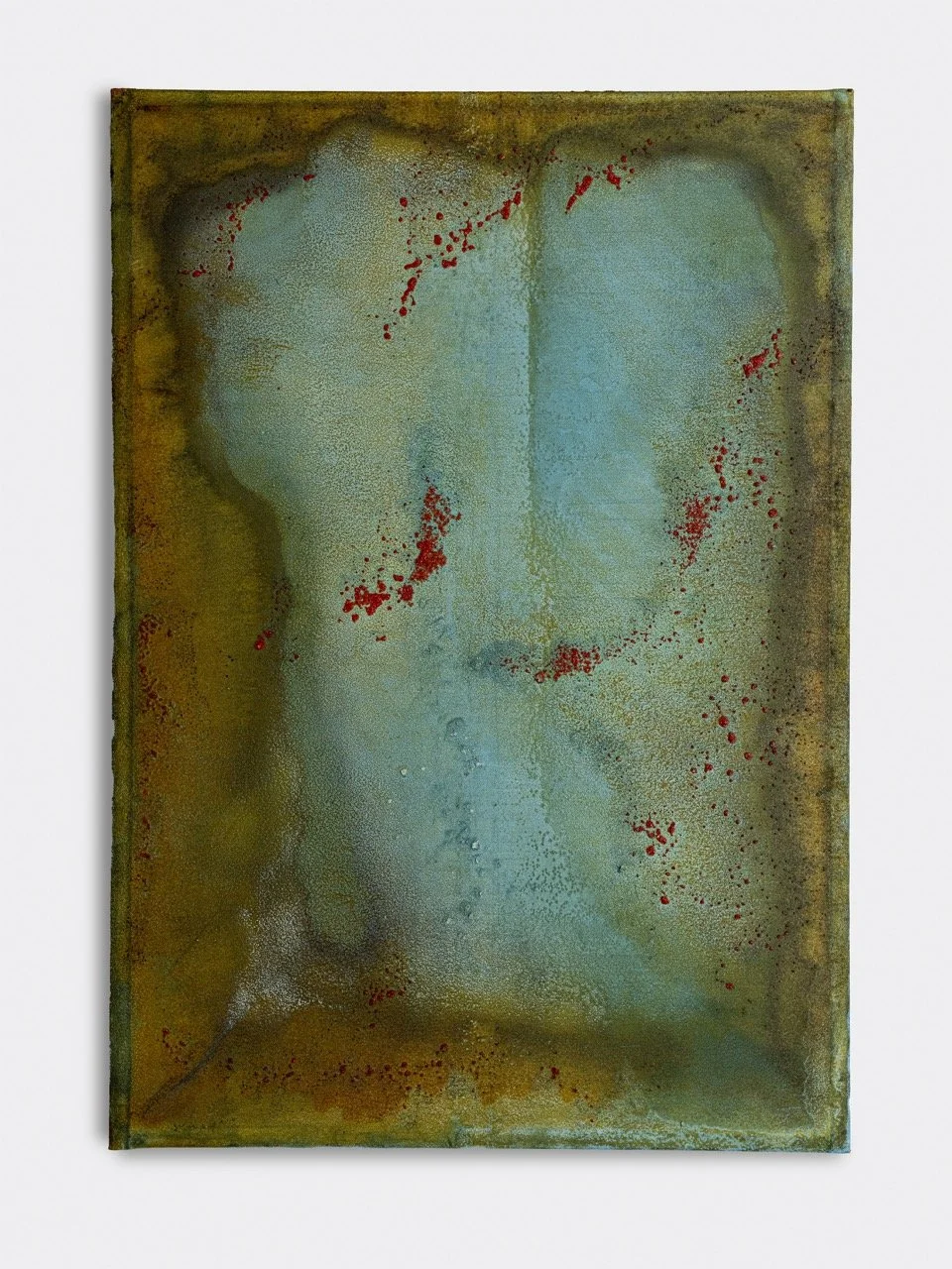 Terasaki_Taiji_Remains_2025 Large.jpeg