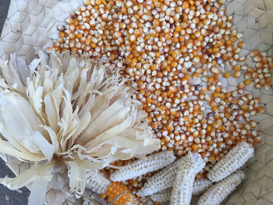 WhatsApp Image 2018-09-18 at 11.50.43 AM.jpeg