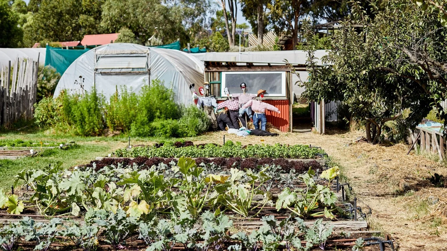 Nurturing a better, fairer food system