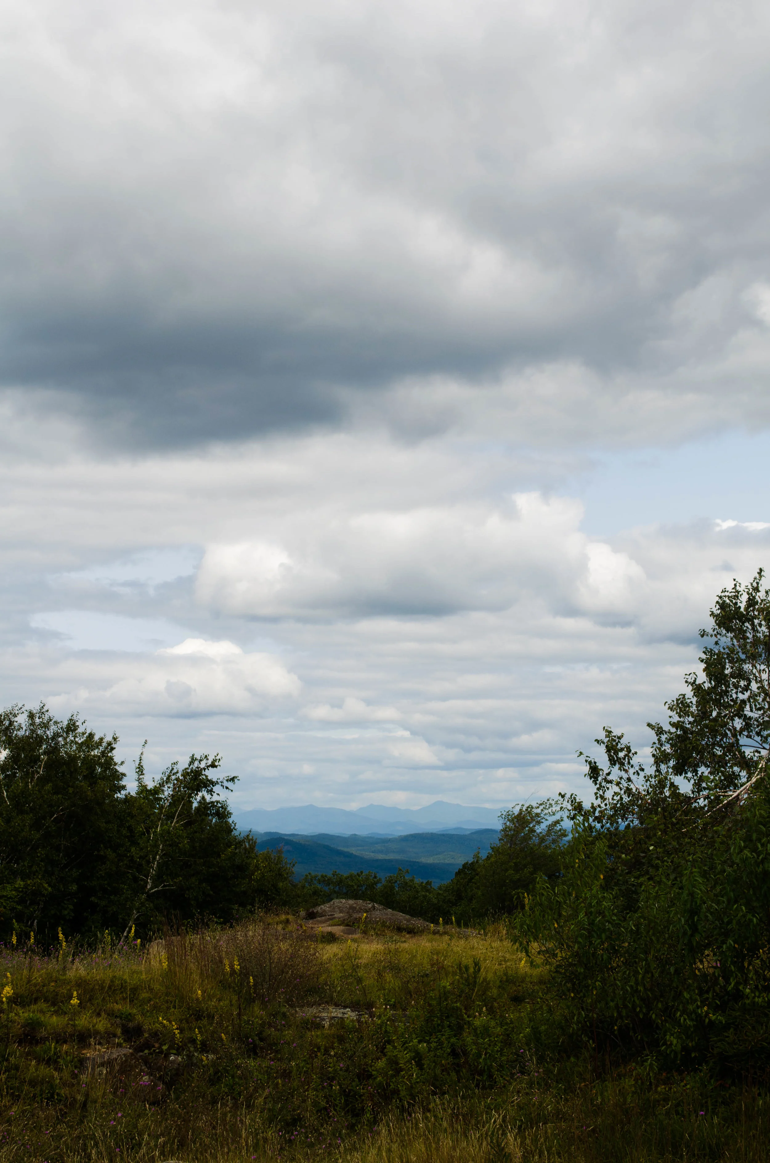 DSC_0702-2.jpg