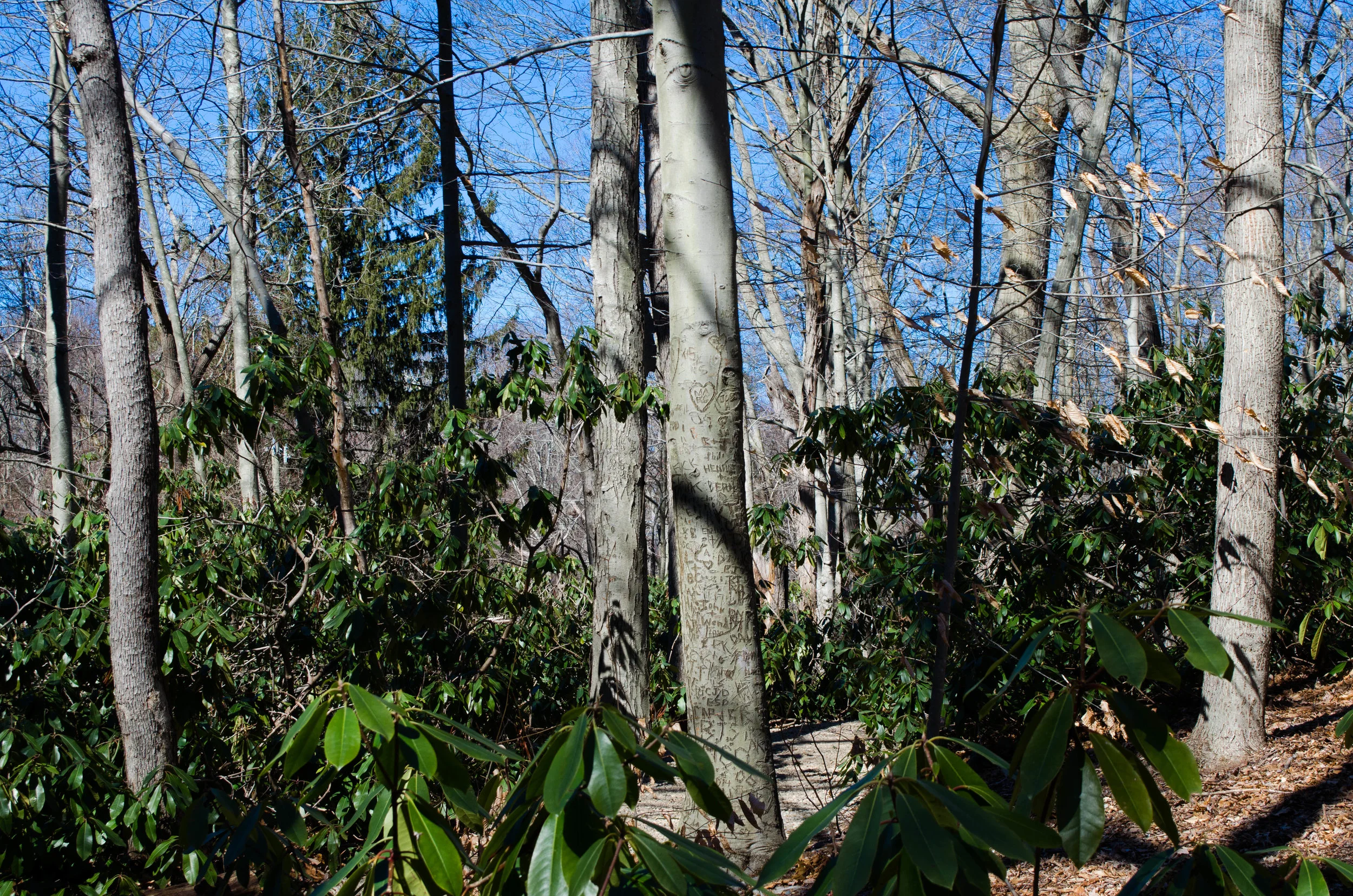 DSC_0240-2-2.jpg