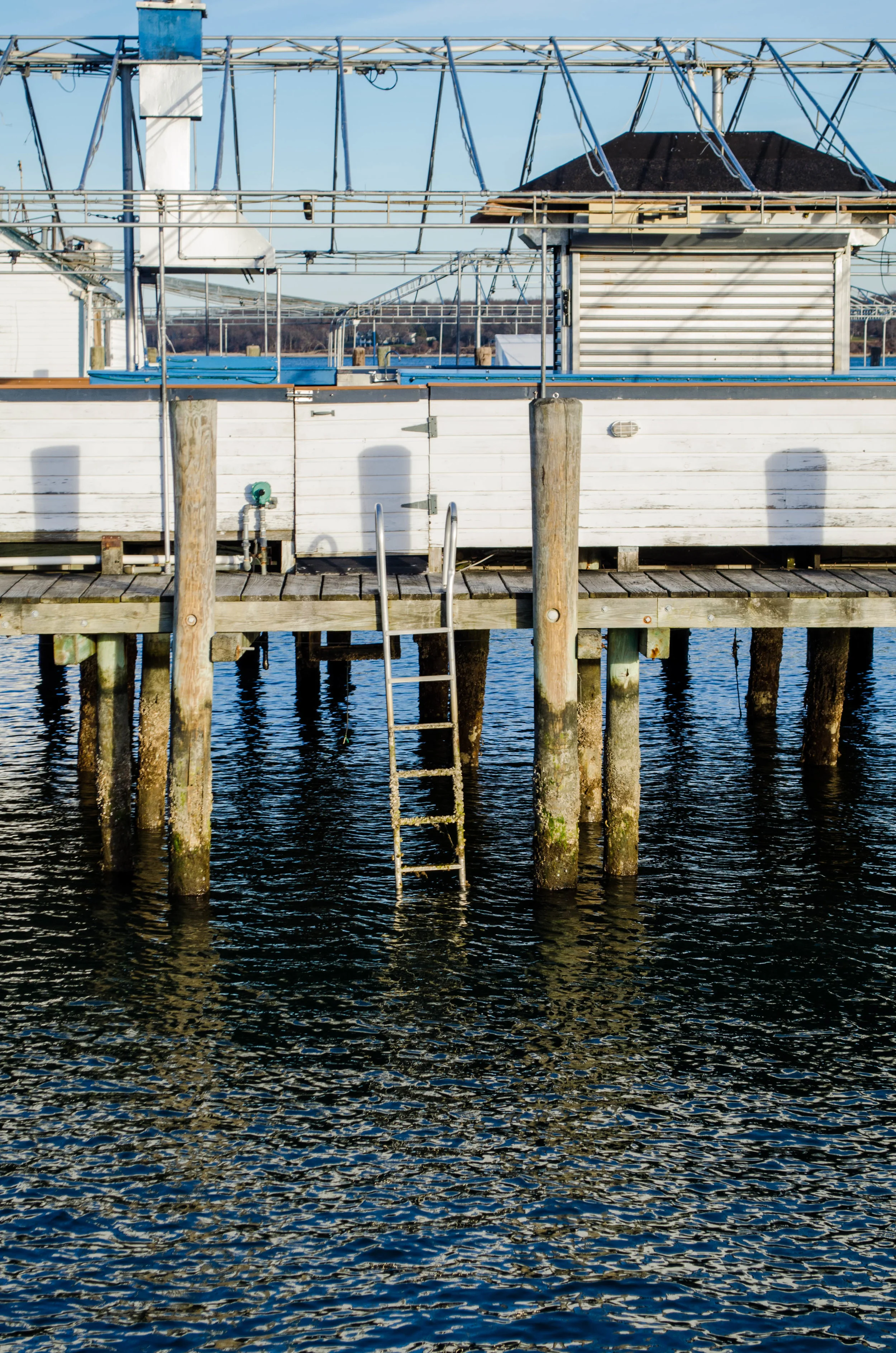 DSC_0013-2.jpg