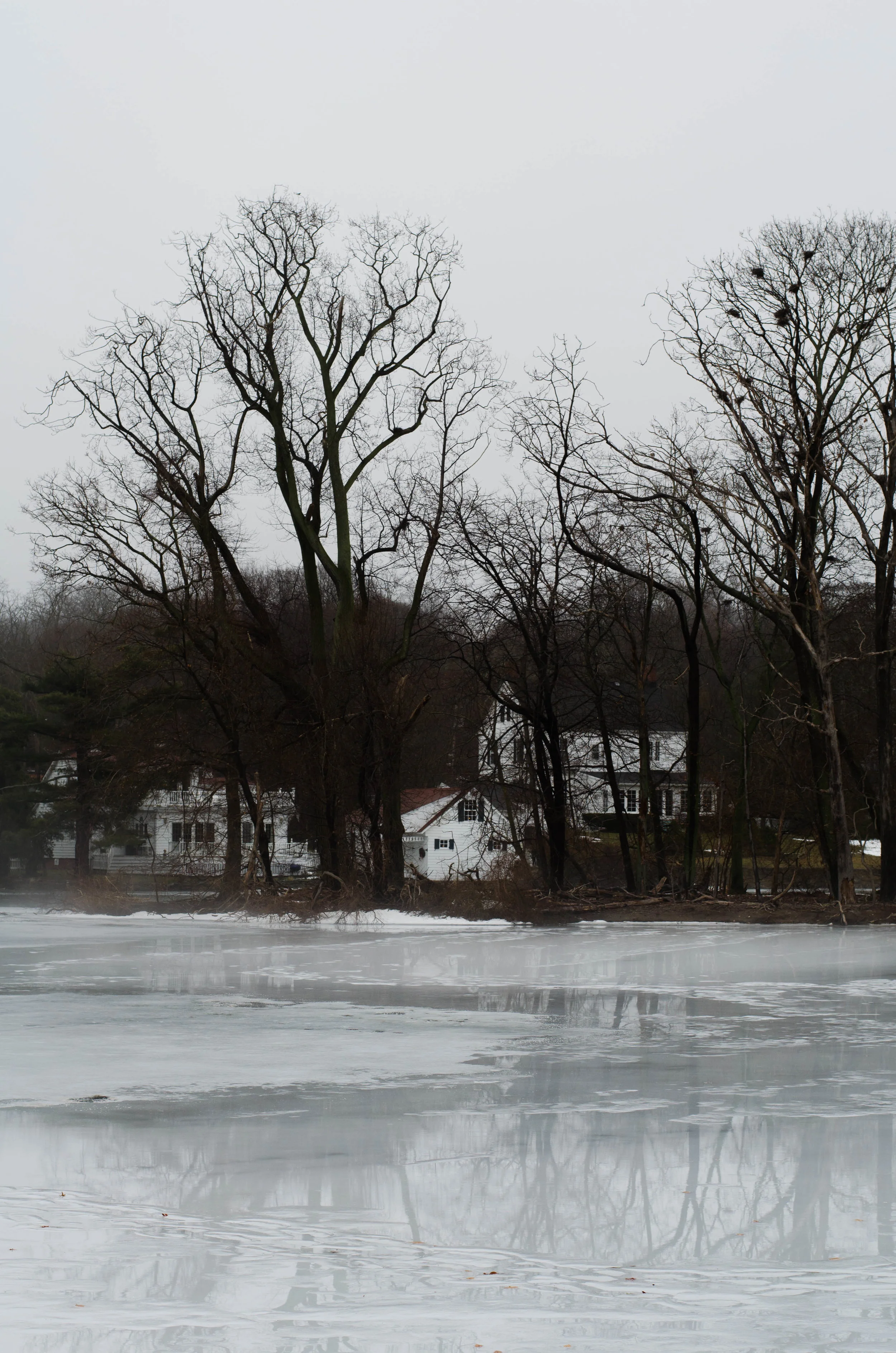 DSC_0524-2-3.jpg