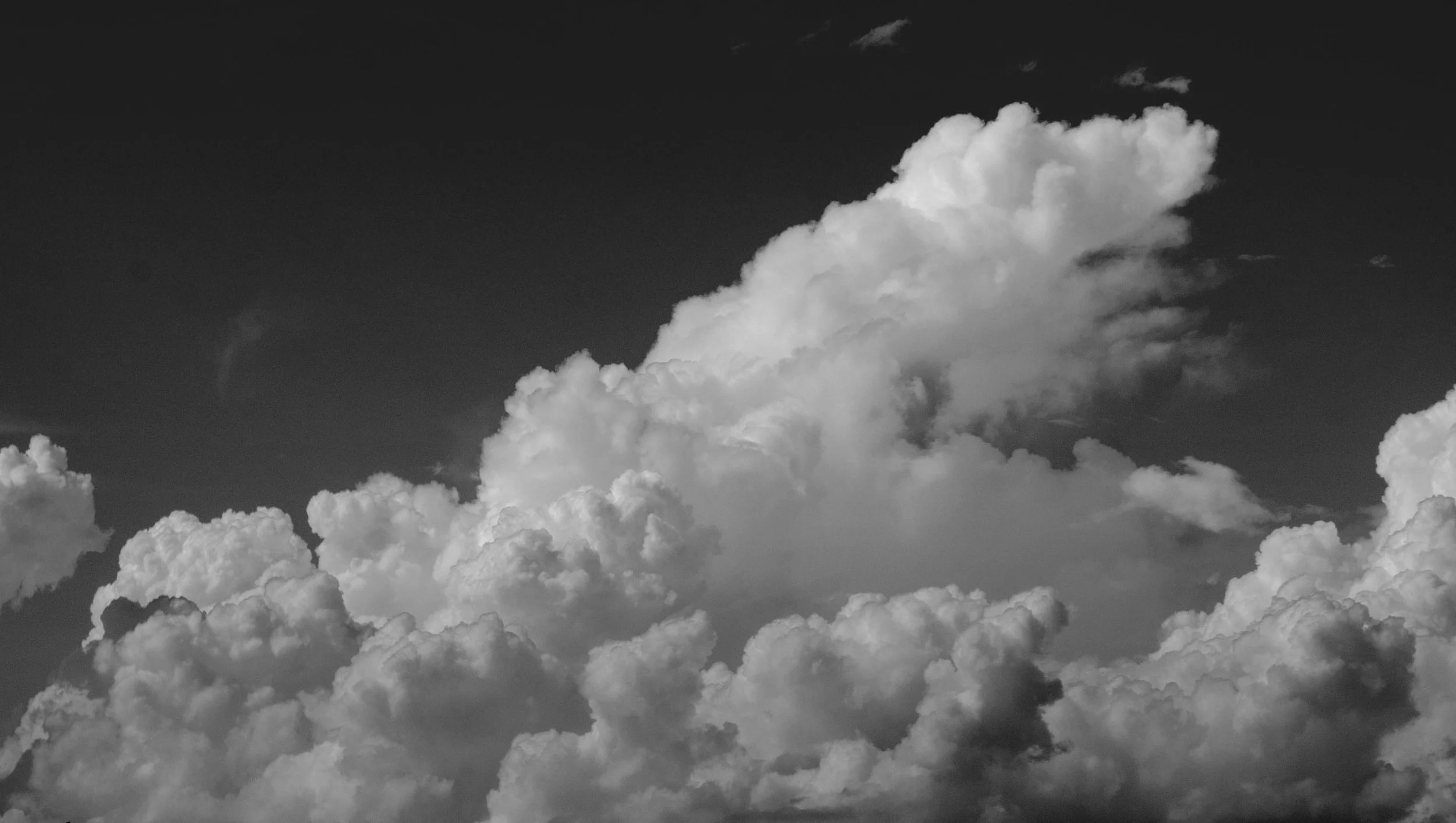 DSC_1566-2.jpg