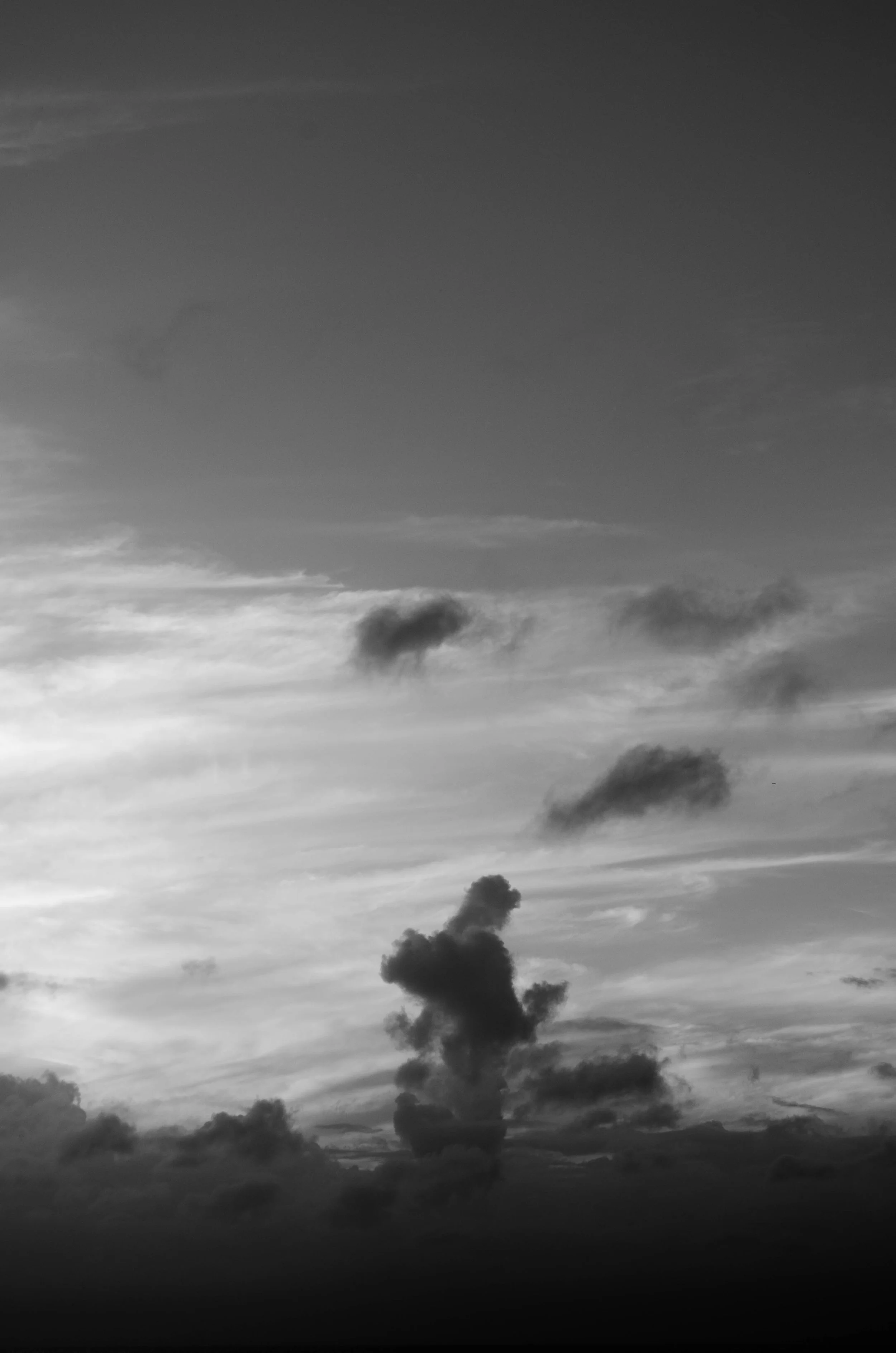 DSC_1165-2.jpg