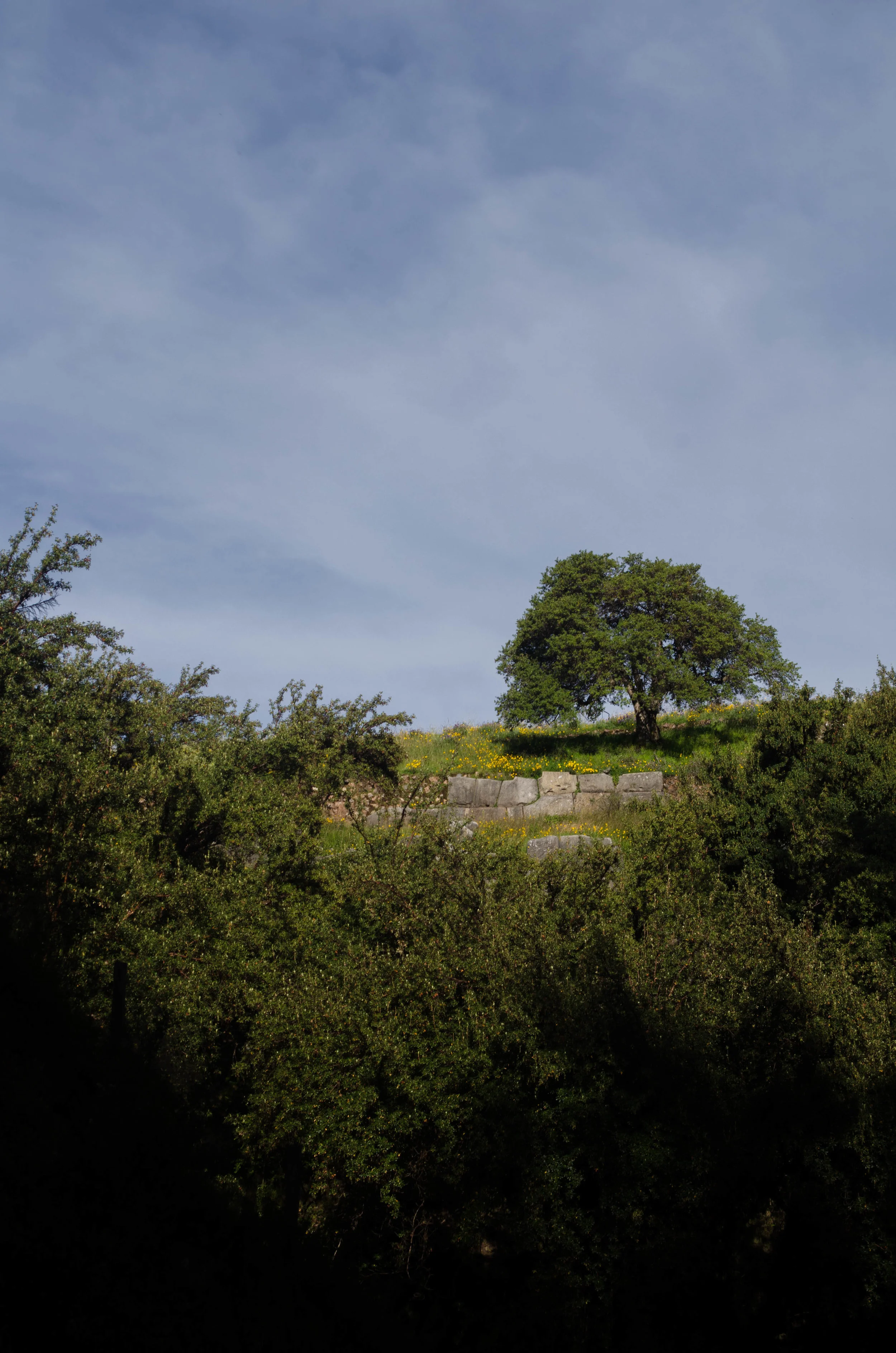 DSC_0474-2.jpg