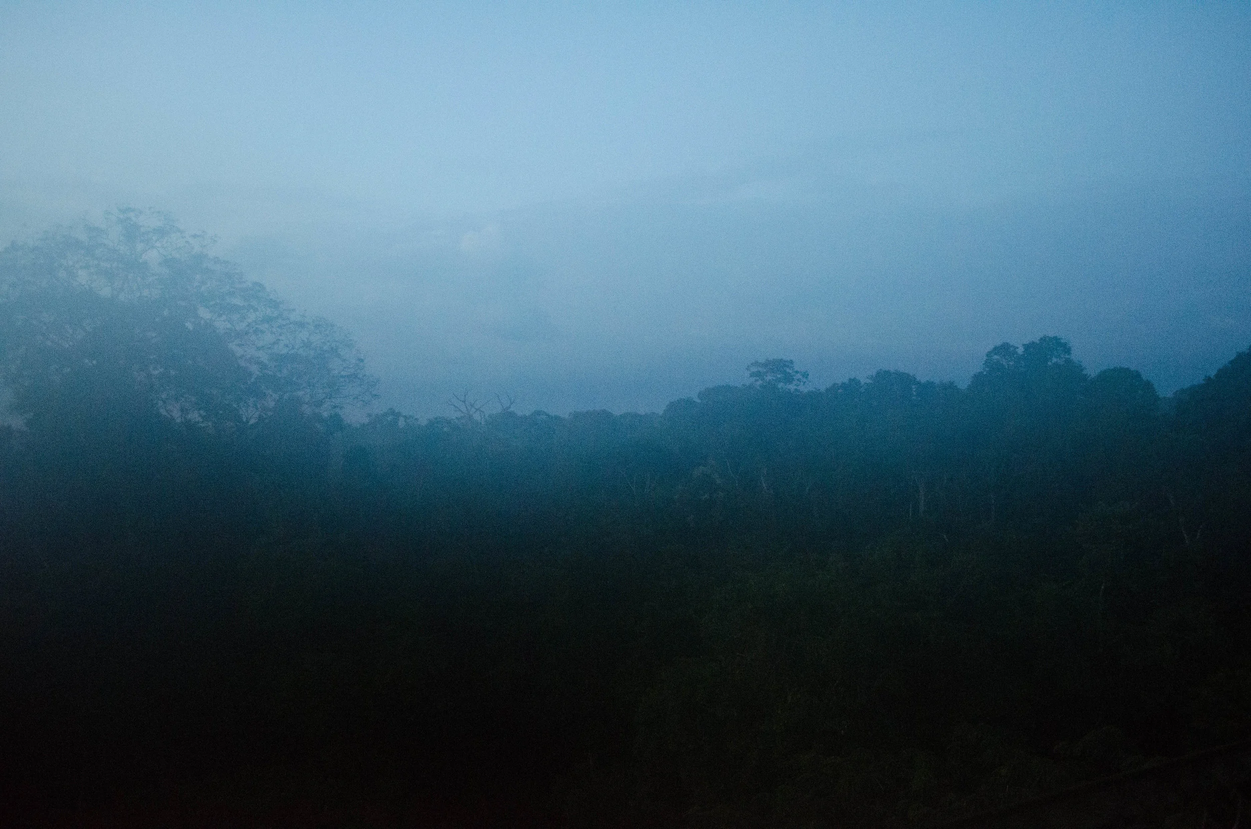 DSC_0418-2.jpg