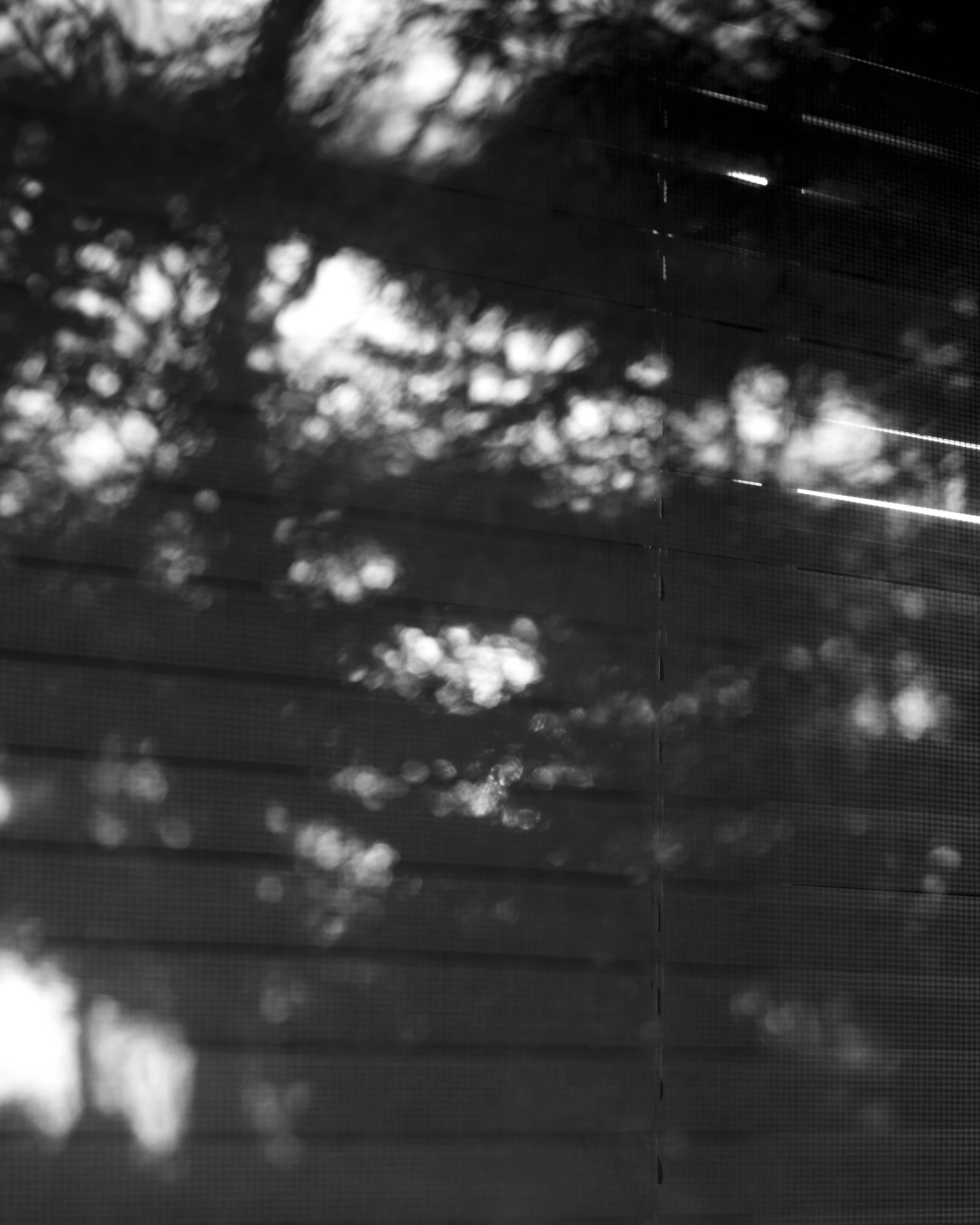 window-2.jpg
