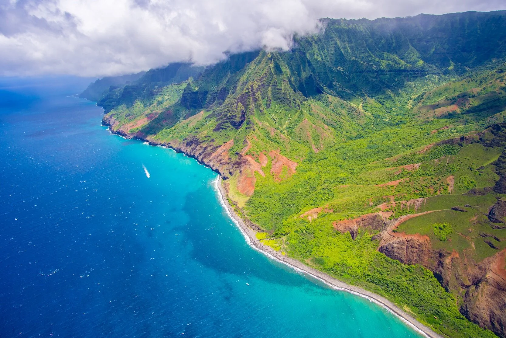 hot-yoga-workshop-with-true-for-you-yoga-in-hawaii.jpg