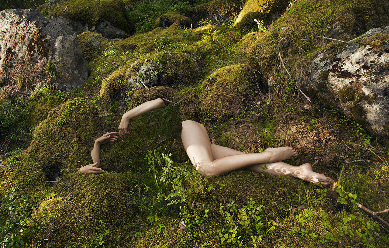 Reflecting on Nature11.png