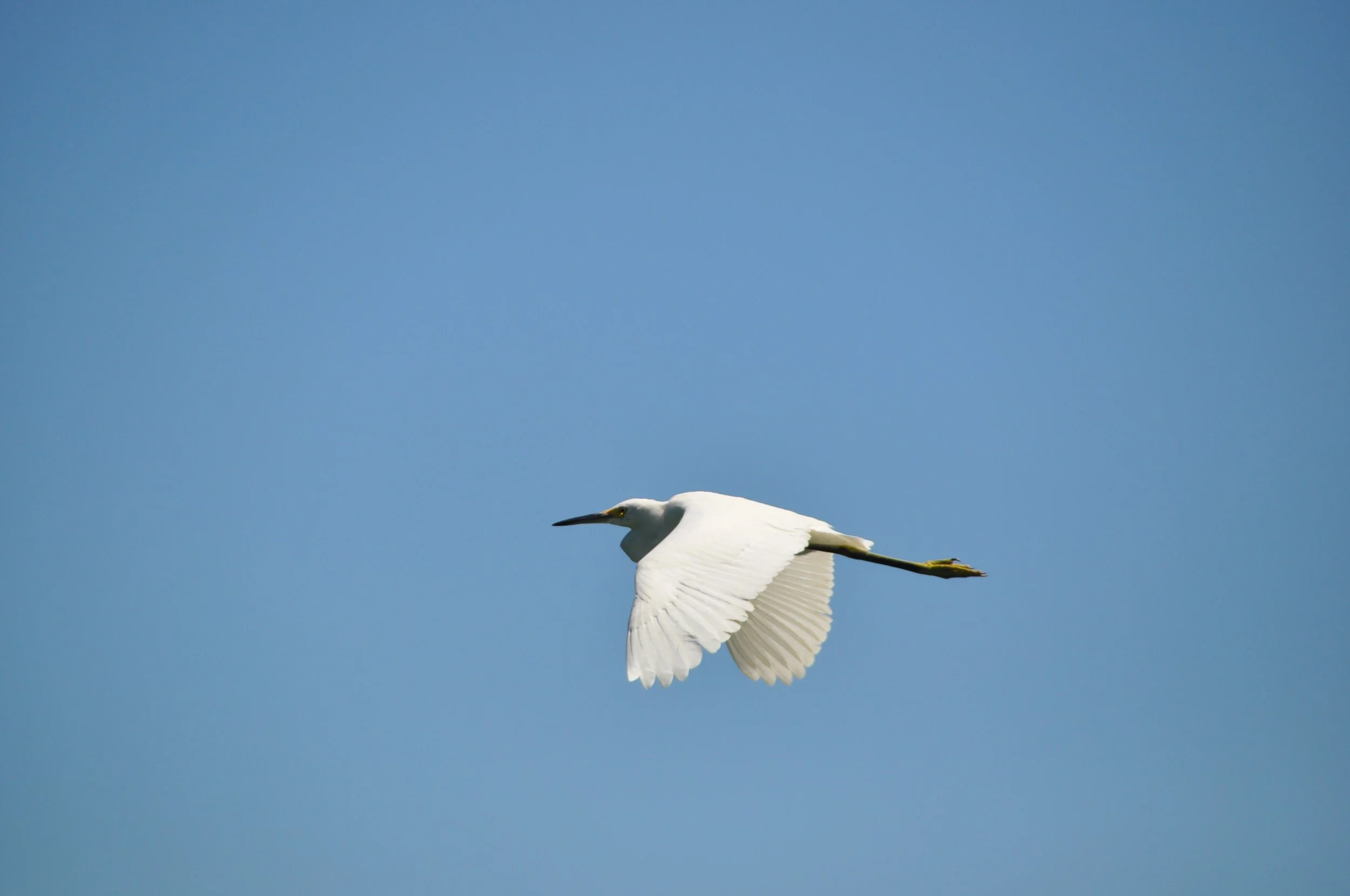 DSC_0491.JPG