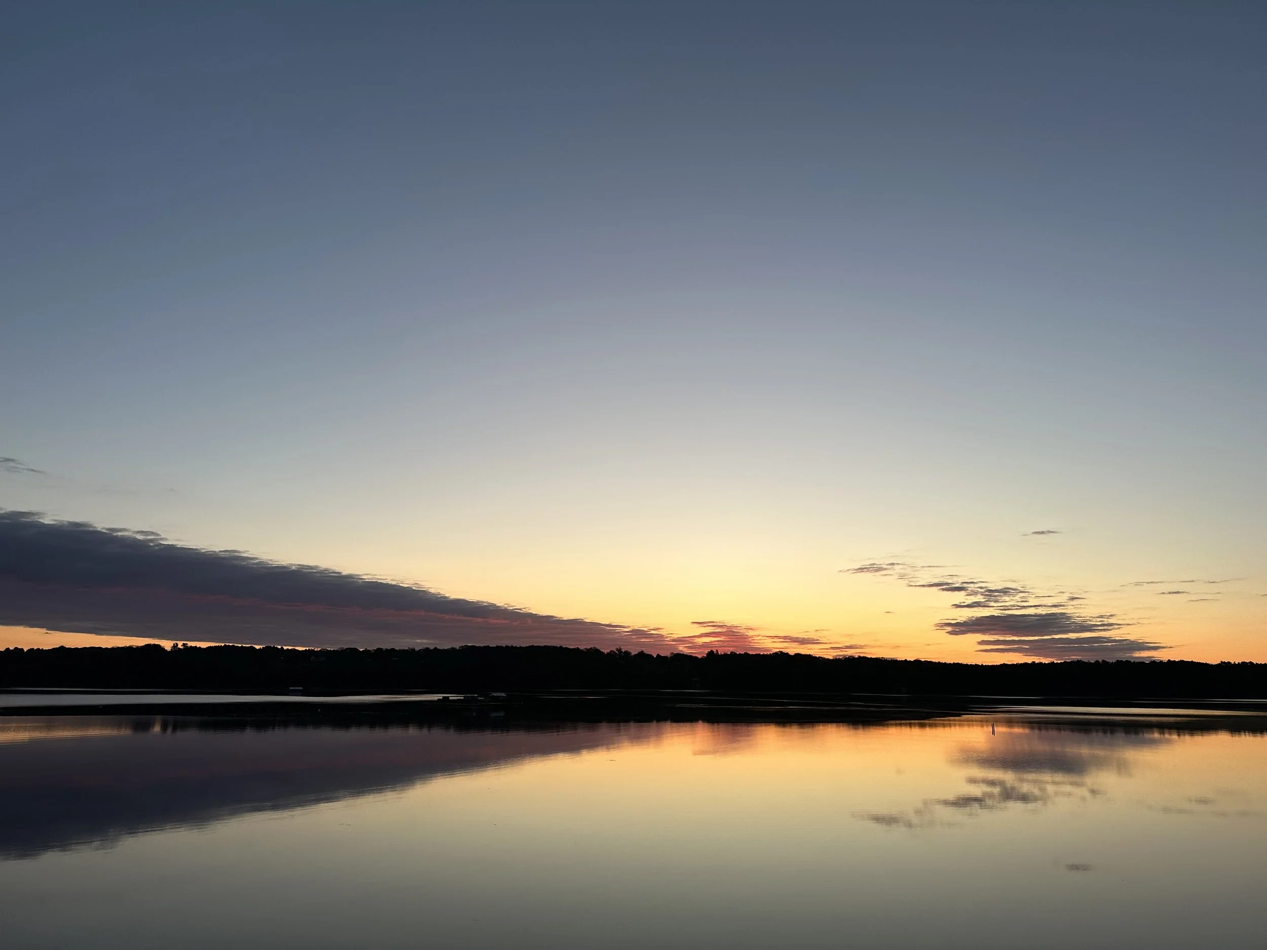 the freedom of self-forgetfulness