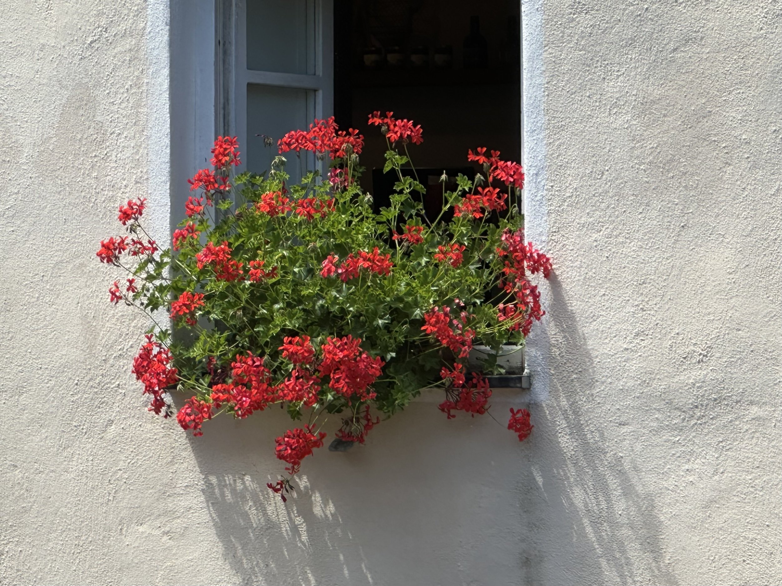 IMG_2813.jpeg