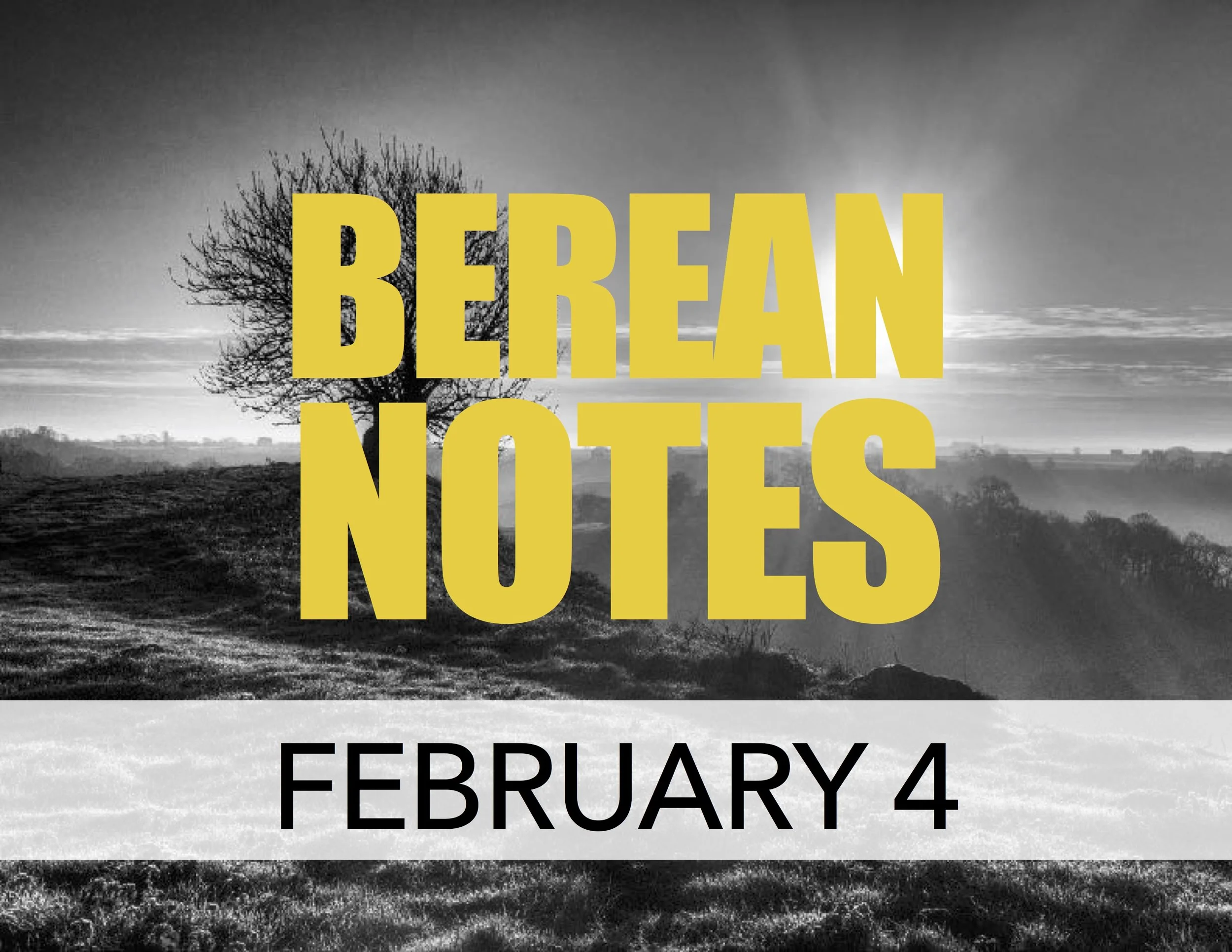 CHOSEN GENERATION #1