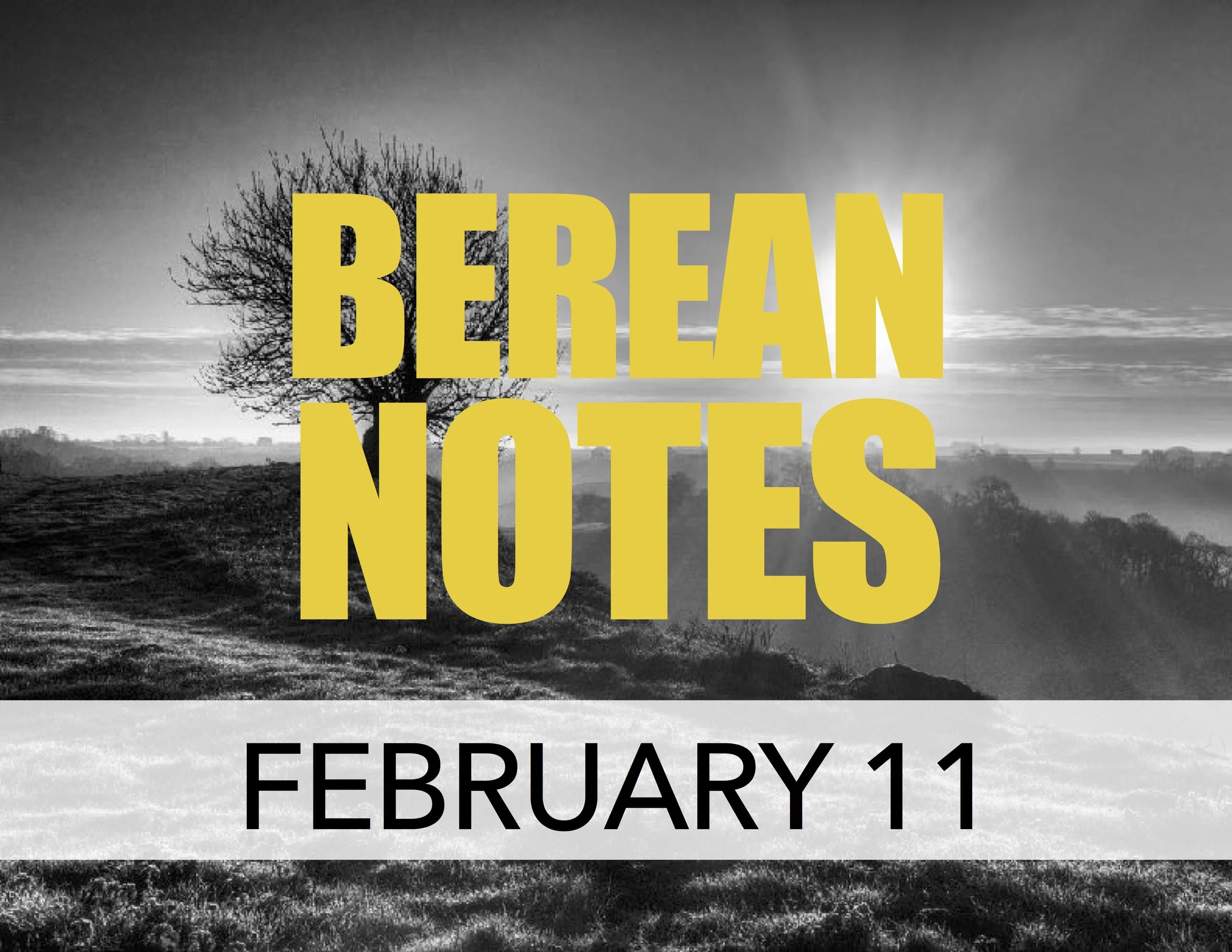 CHOSEN GENERATION #2