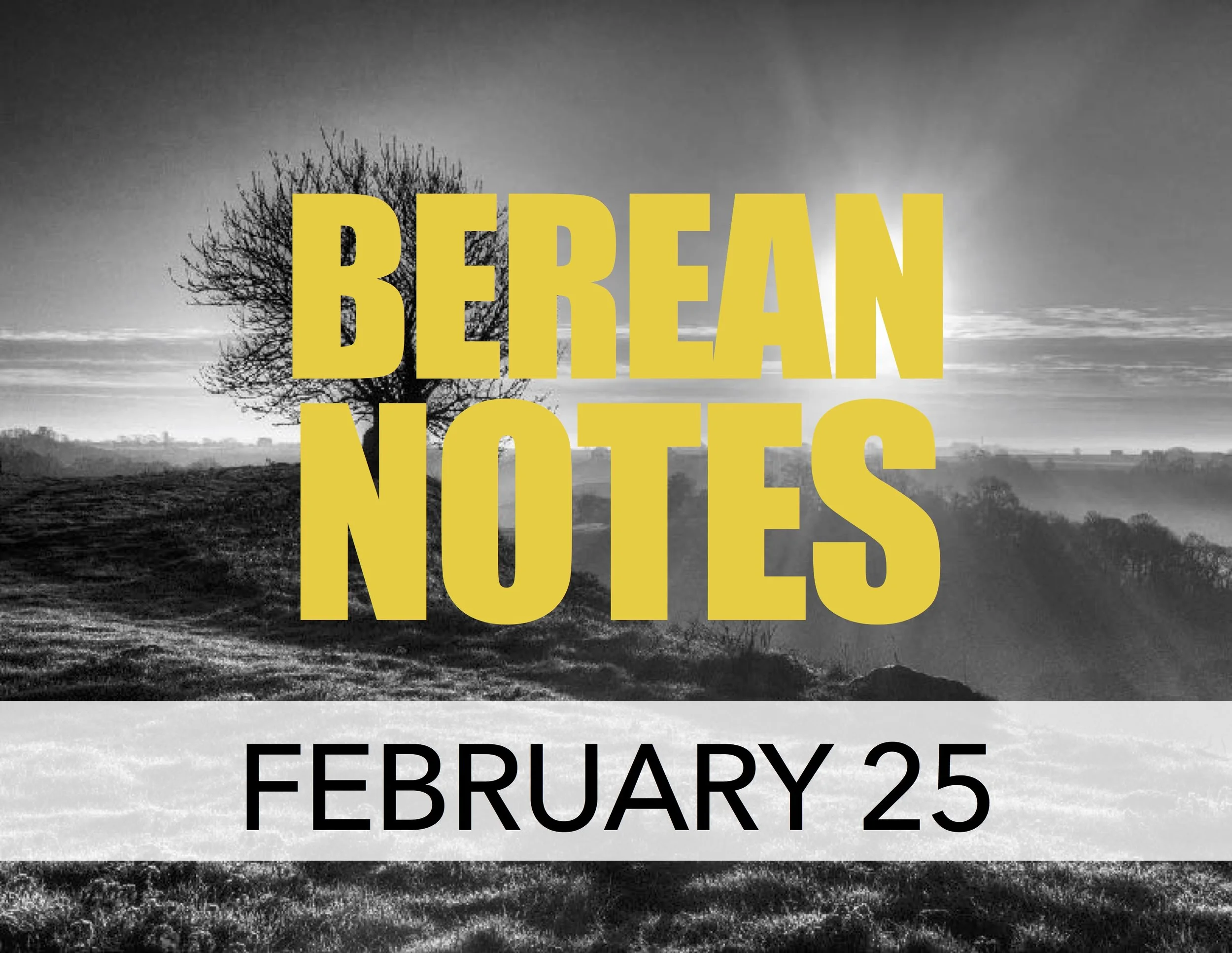 CHOSEN GENERATION #4