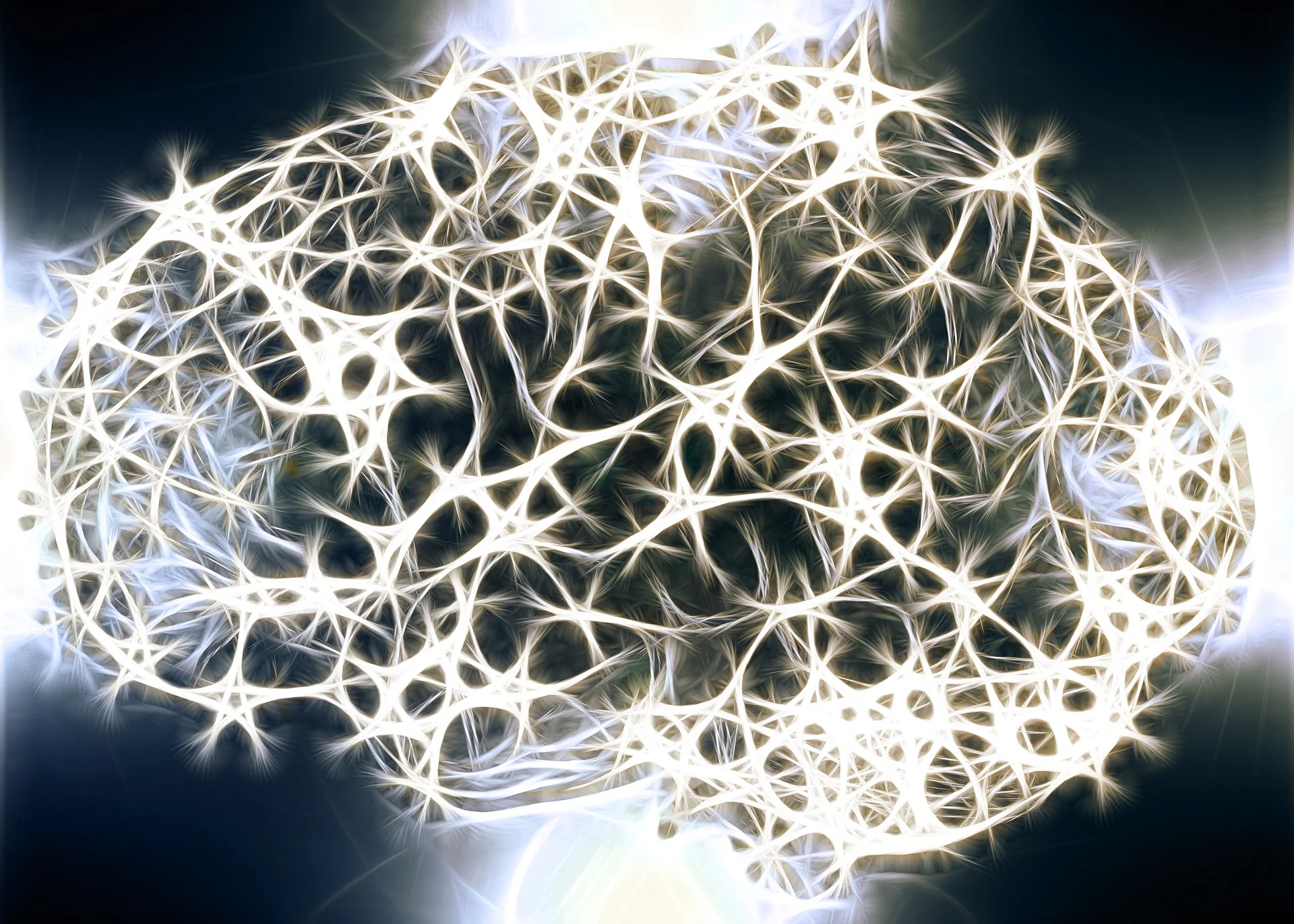 Neuroscience of Memory