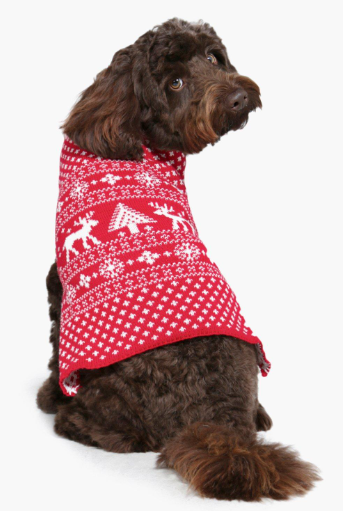 Fairisle Christmas Dog Jumper, £9.00