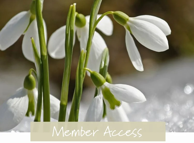 How plants recognise the seasons