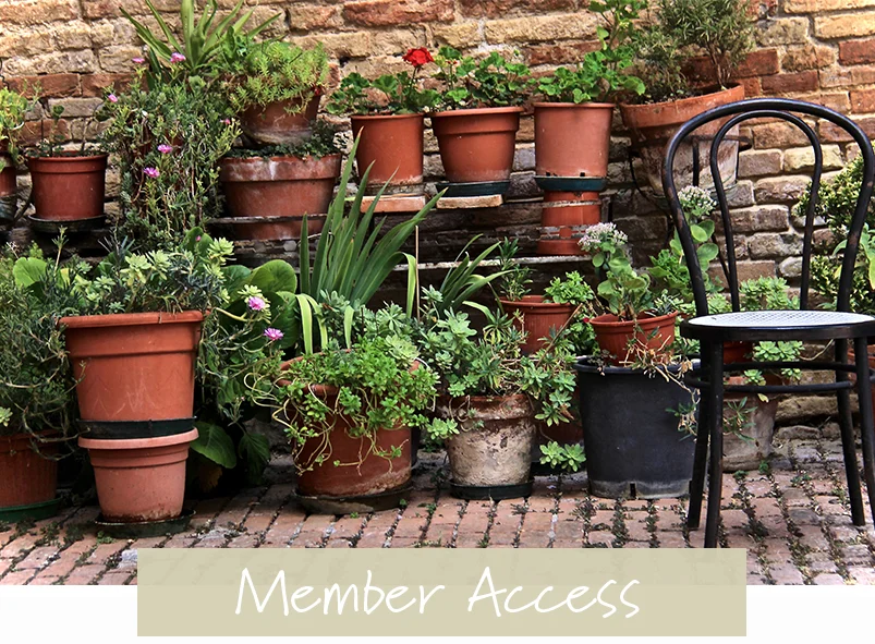 Urban Gardening Workshop