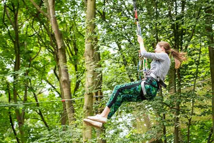 Go Ape