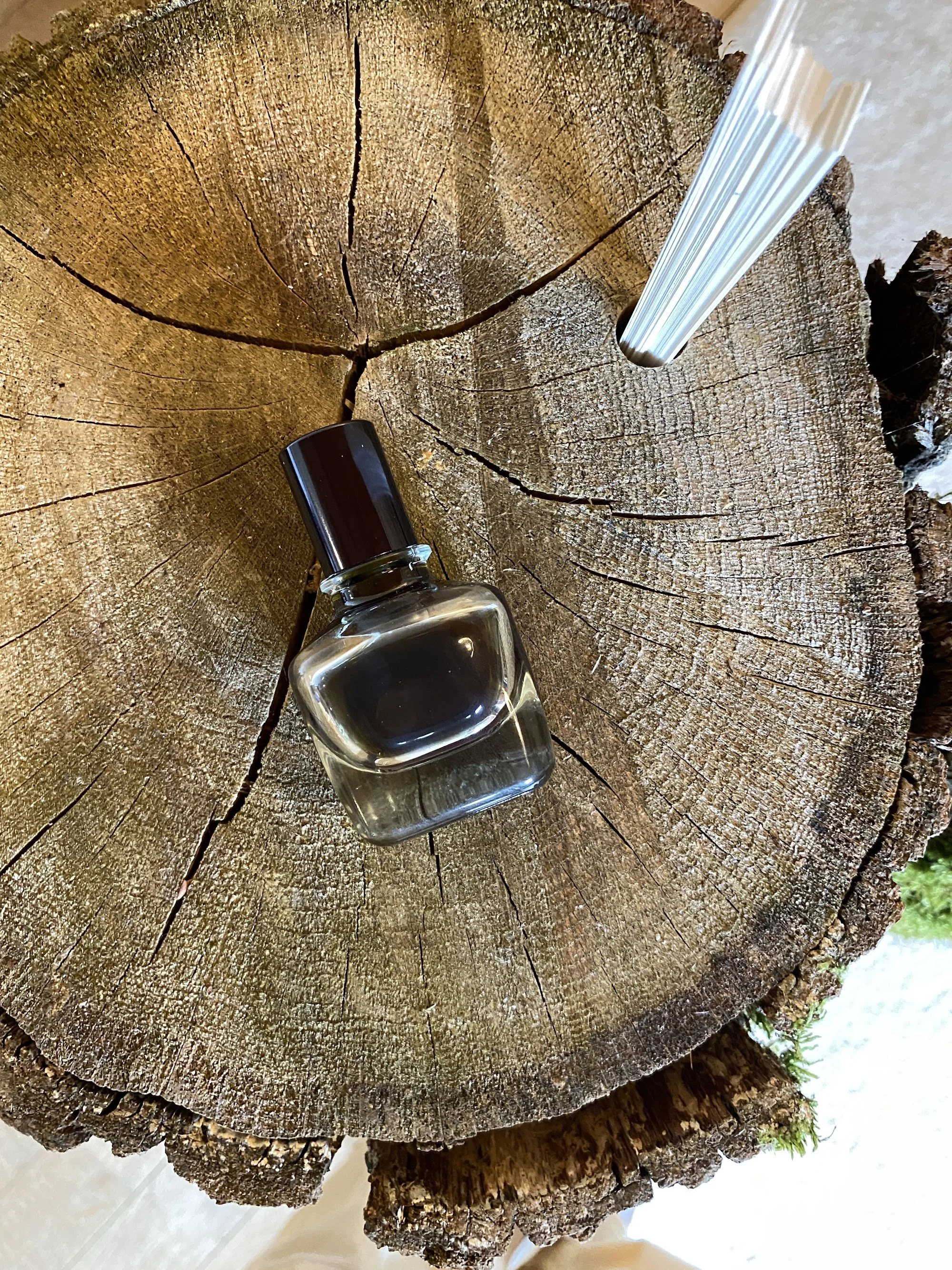 A perfume bottle on a cracked tree stump seen from above, with paper scent strips