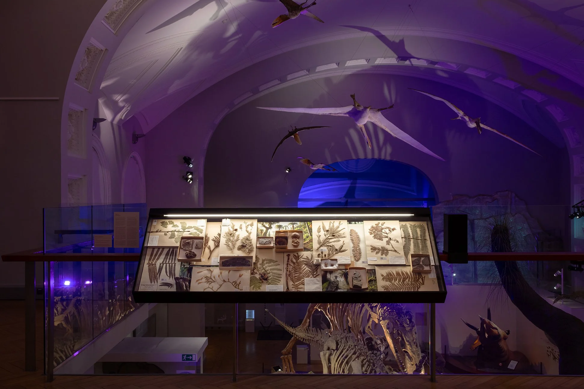 raimo-saarinen-201300000-vuotta-sitten-p1.jpg