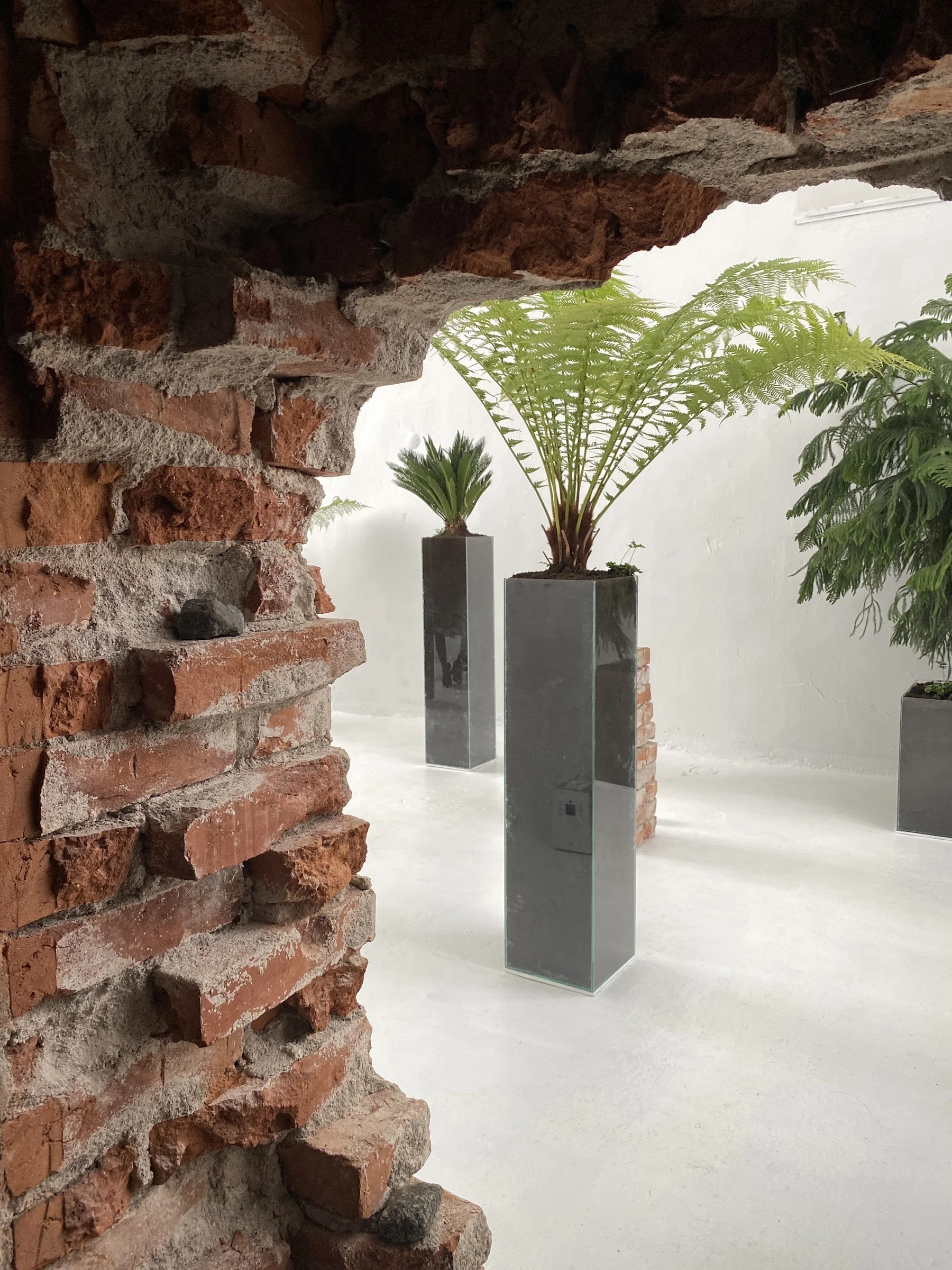 View through a broken brick wall into the Jurassic Forest installation