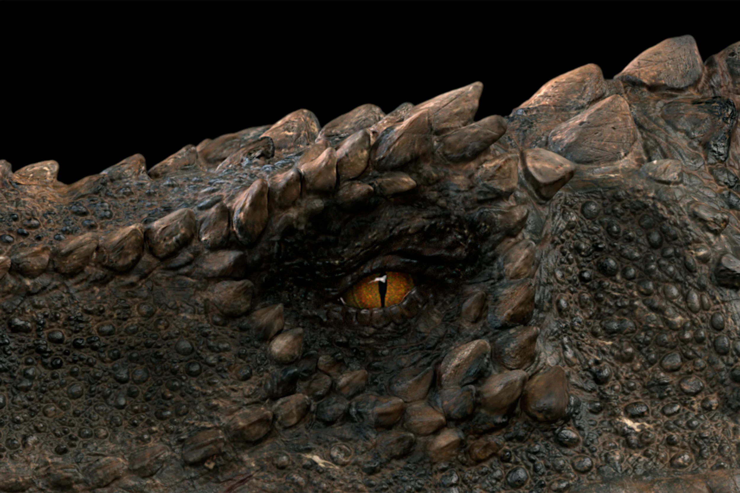 Dino_eye.jpg