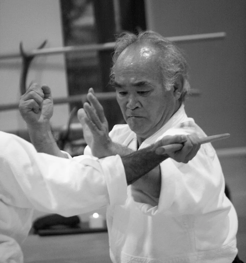 Chiba Sensei on choosing training partners