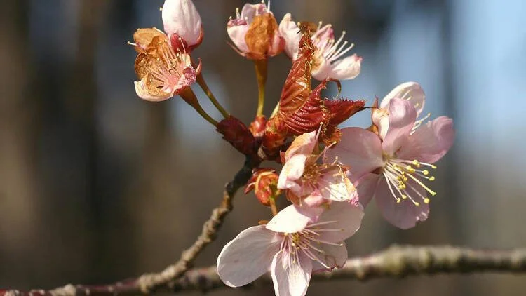 Focus: Spring / Summer 2026