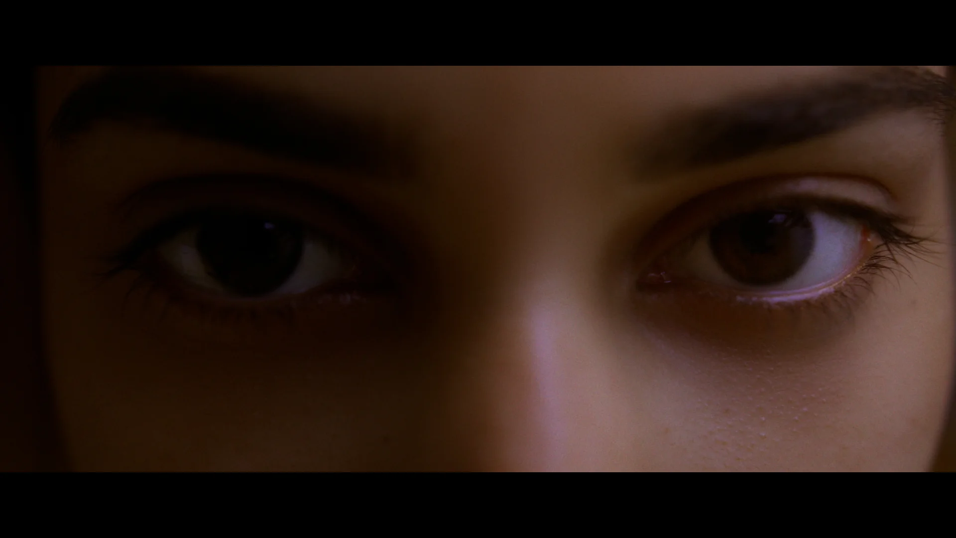 MTD_still_44.jpeg