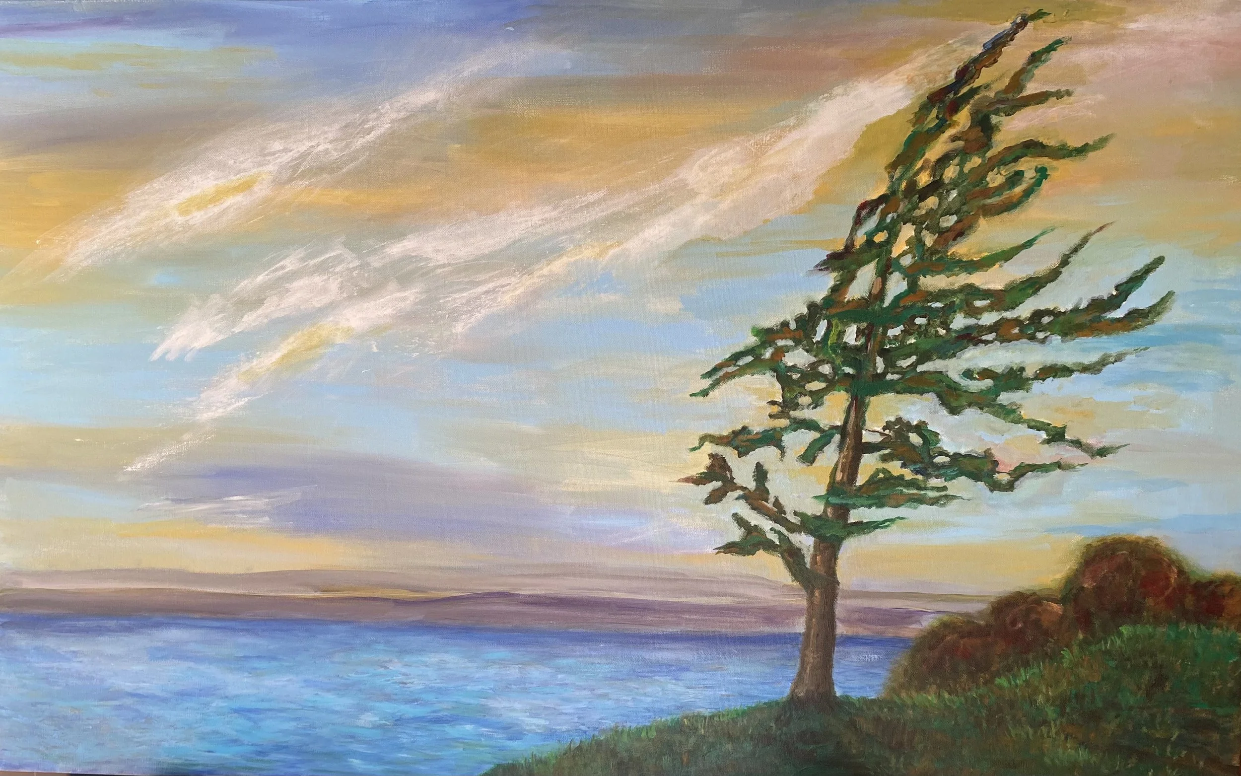 Temagami Tree_PNG.jpg