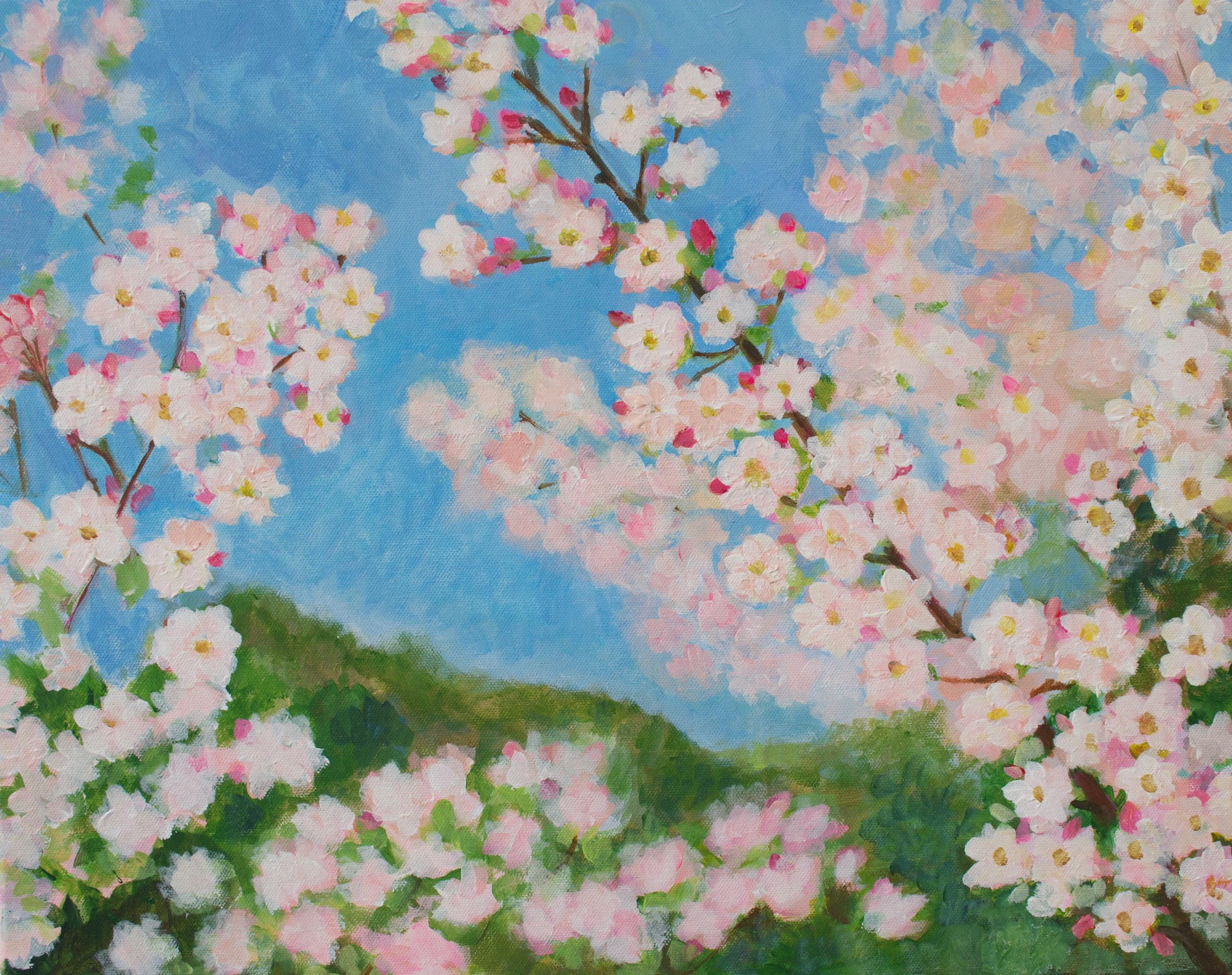  Apple Blossoms  Acrylic on canvas  16”x20” 