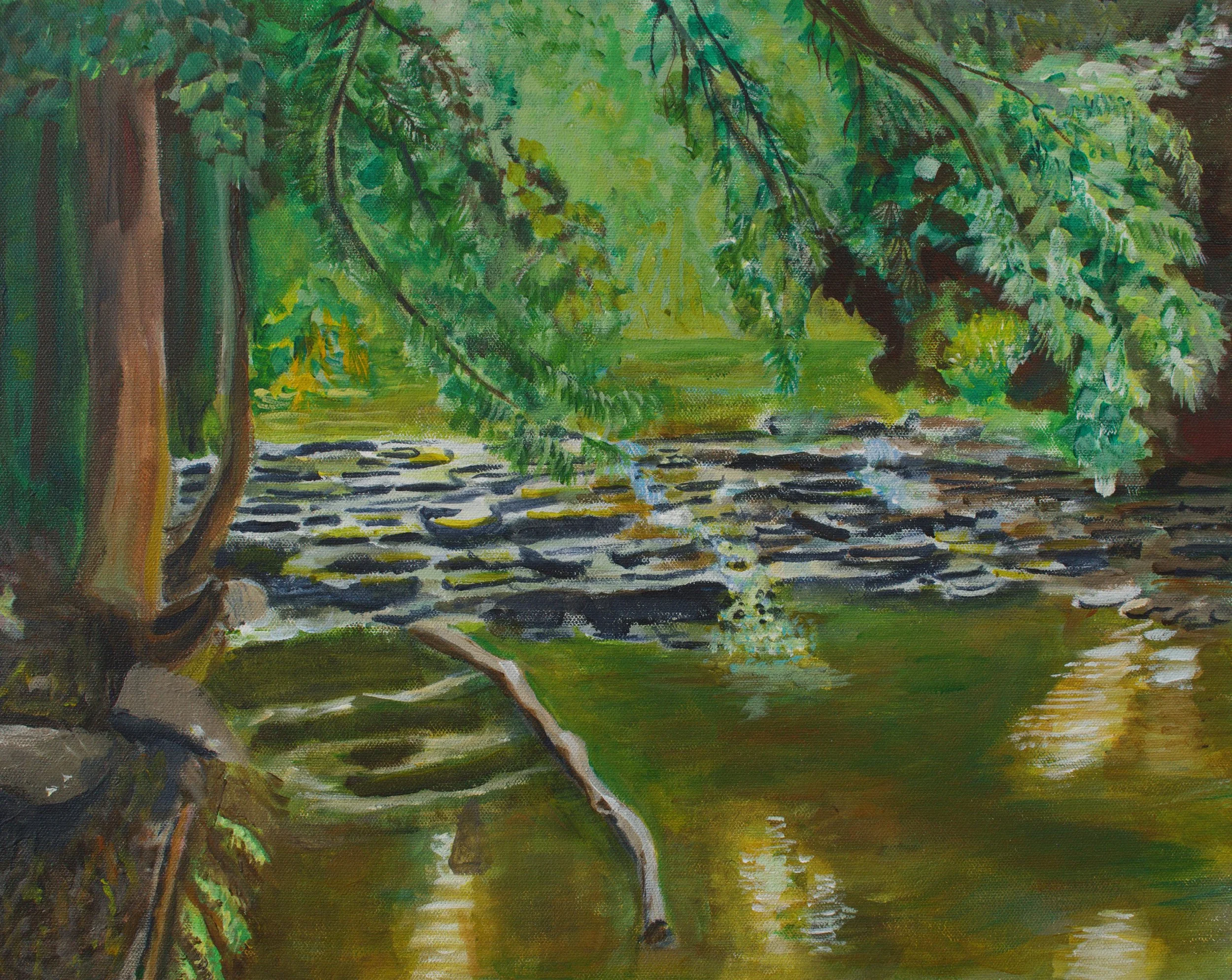 Stepping Stone Waterfall