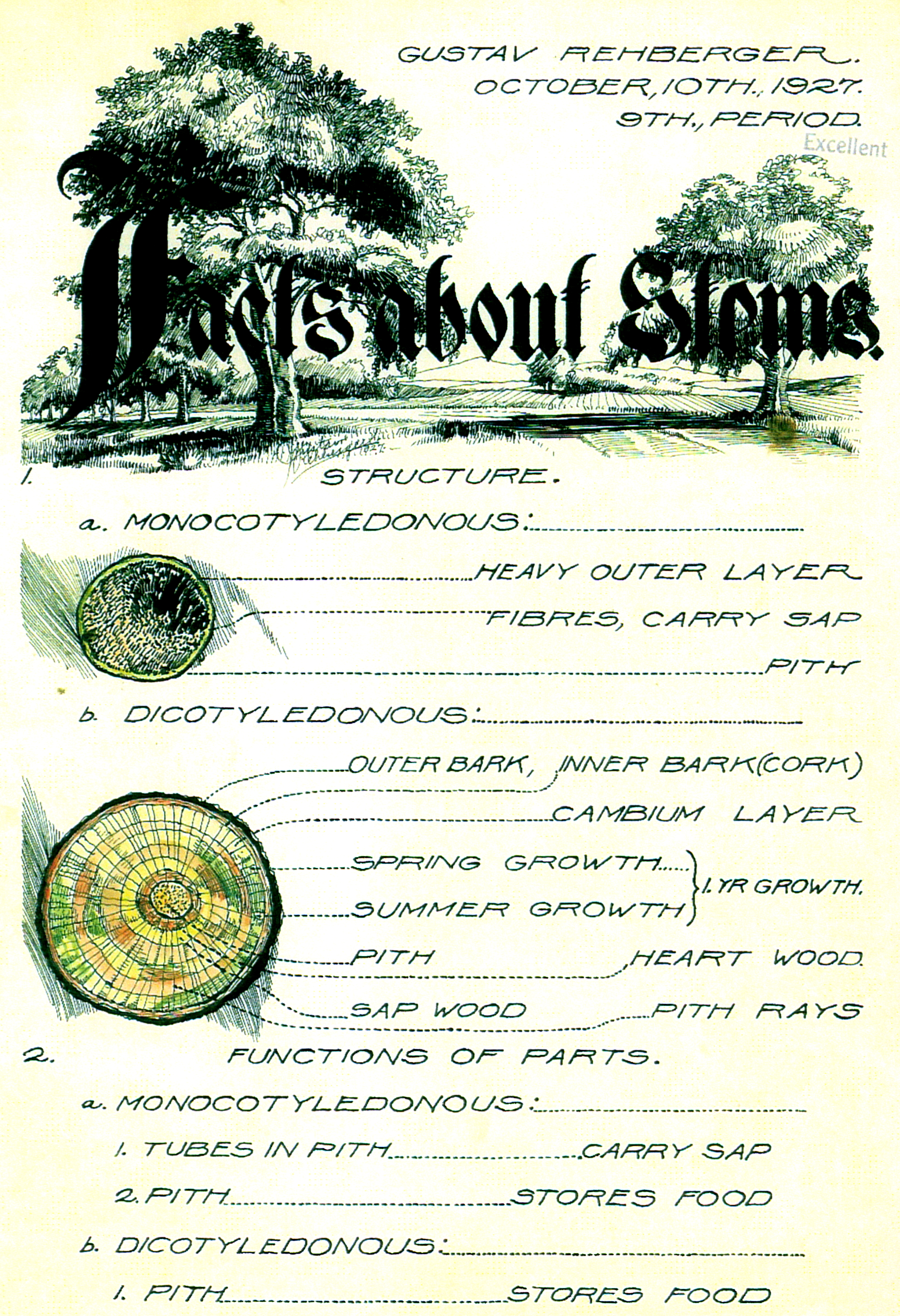 1927 - Facts about Stems (Pen & Ink, Wash)