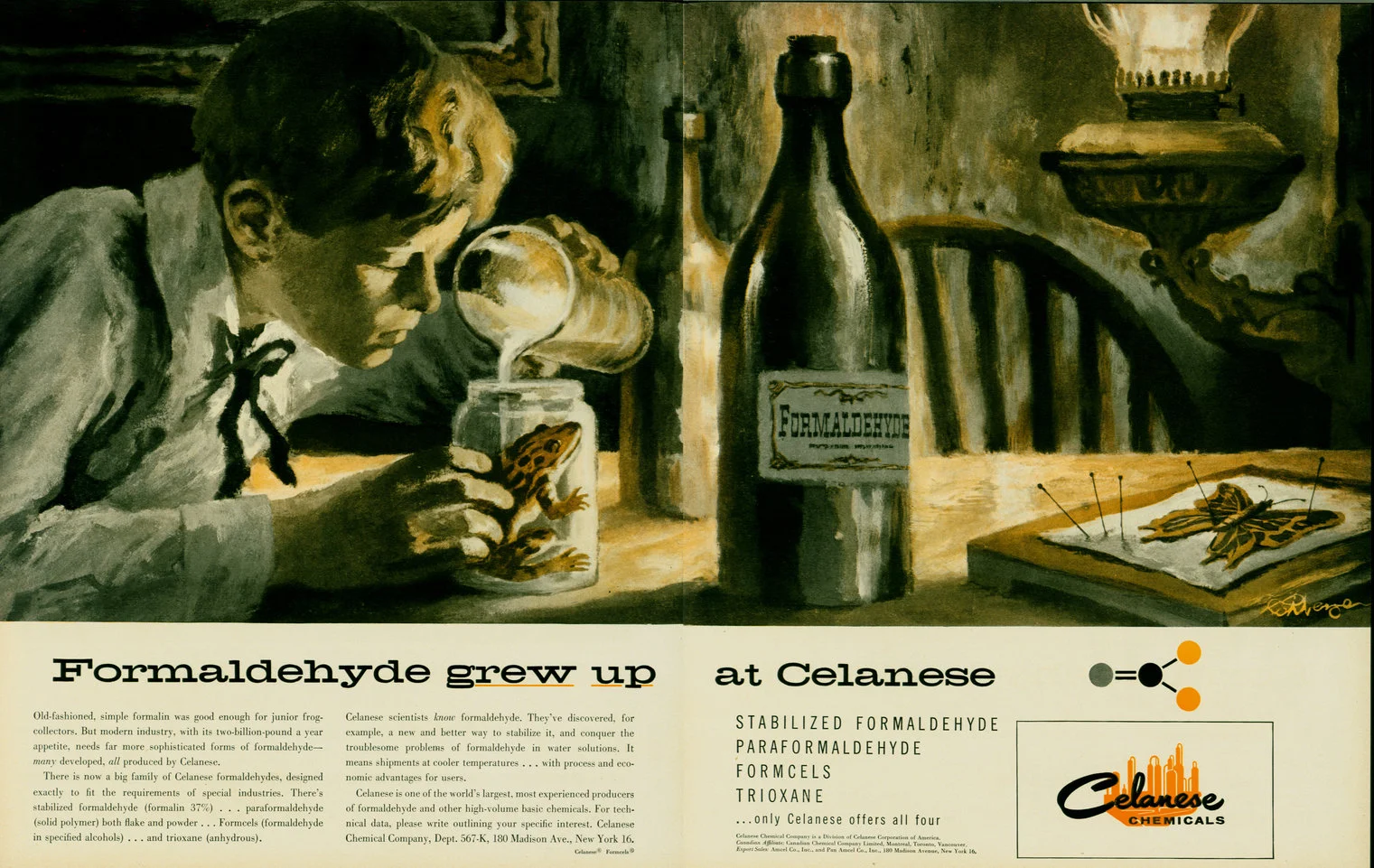 November 1960 - Fortune Magazine