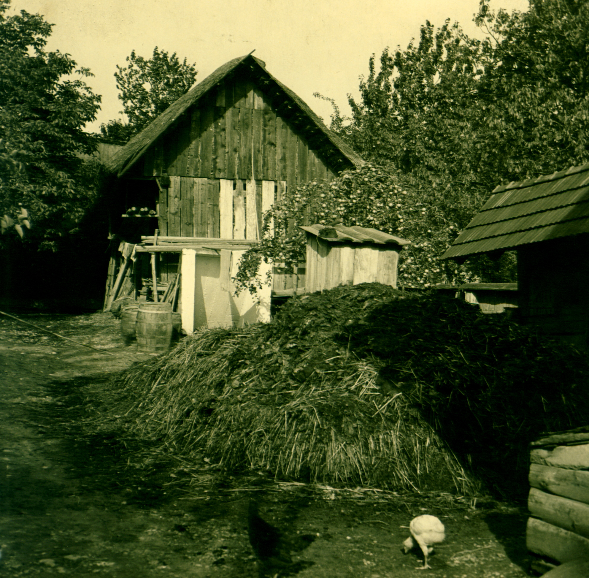 Photo by Gustav Rehberger in 1937