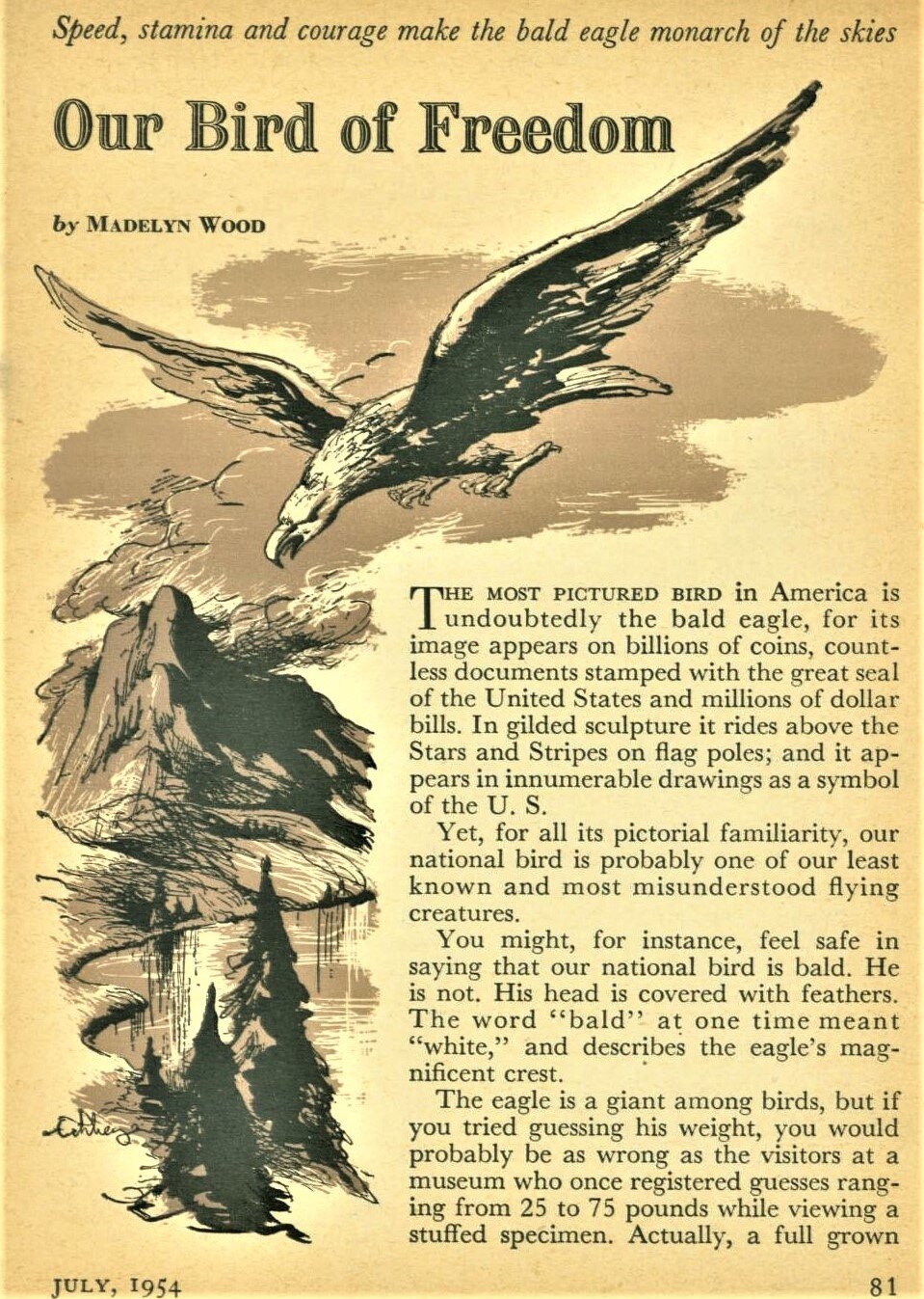 July 1954 - Our Bird of Freedom