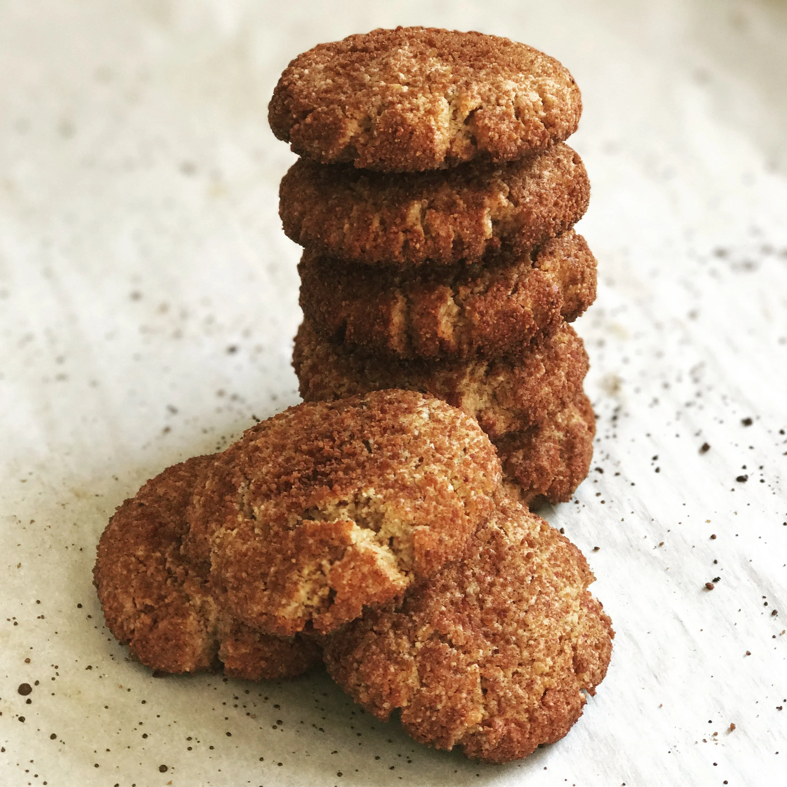 SNICKERDOODLES