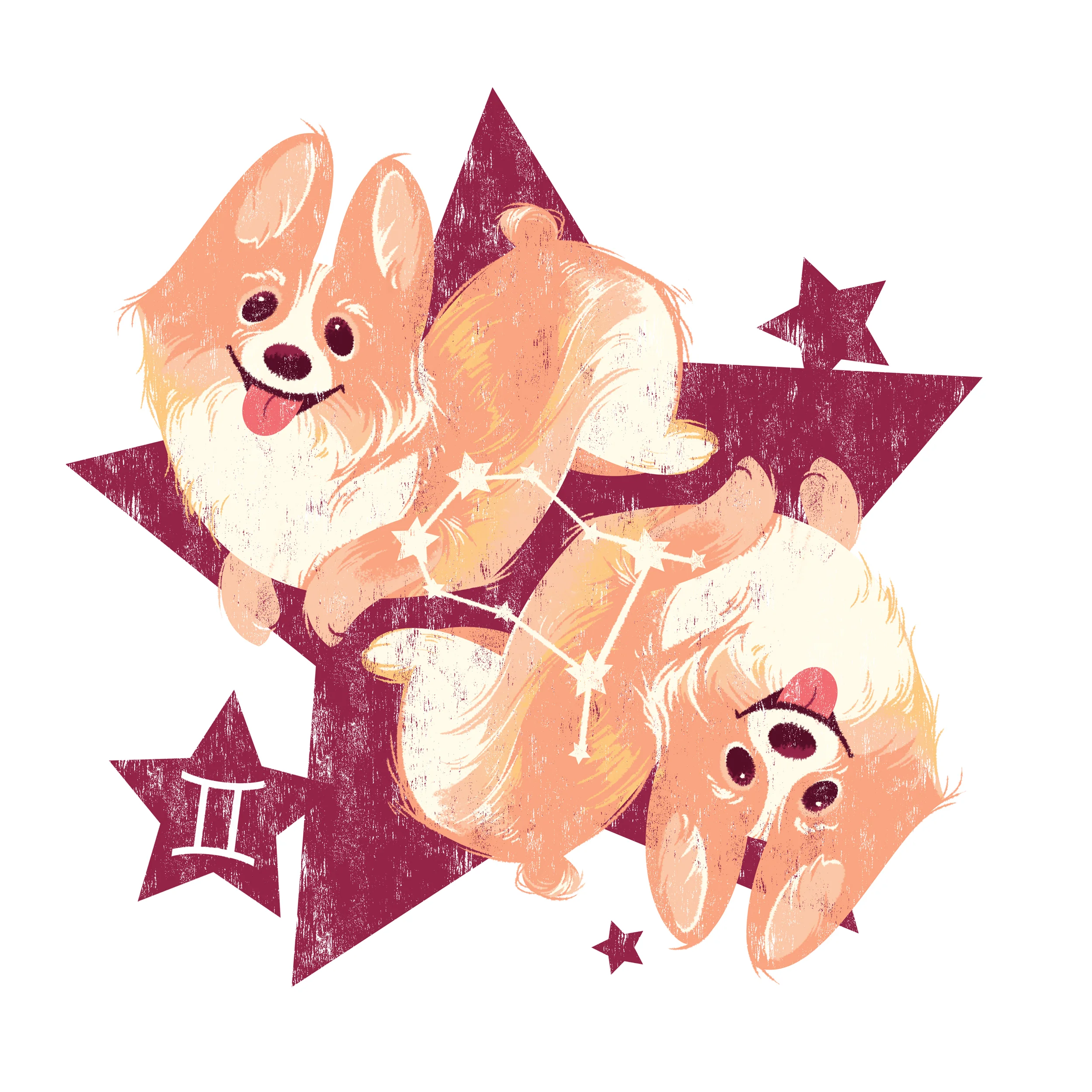 SkyeBolluyt_Astropups-Corgi.jpg