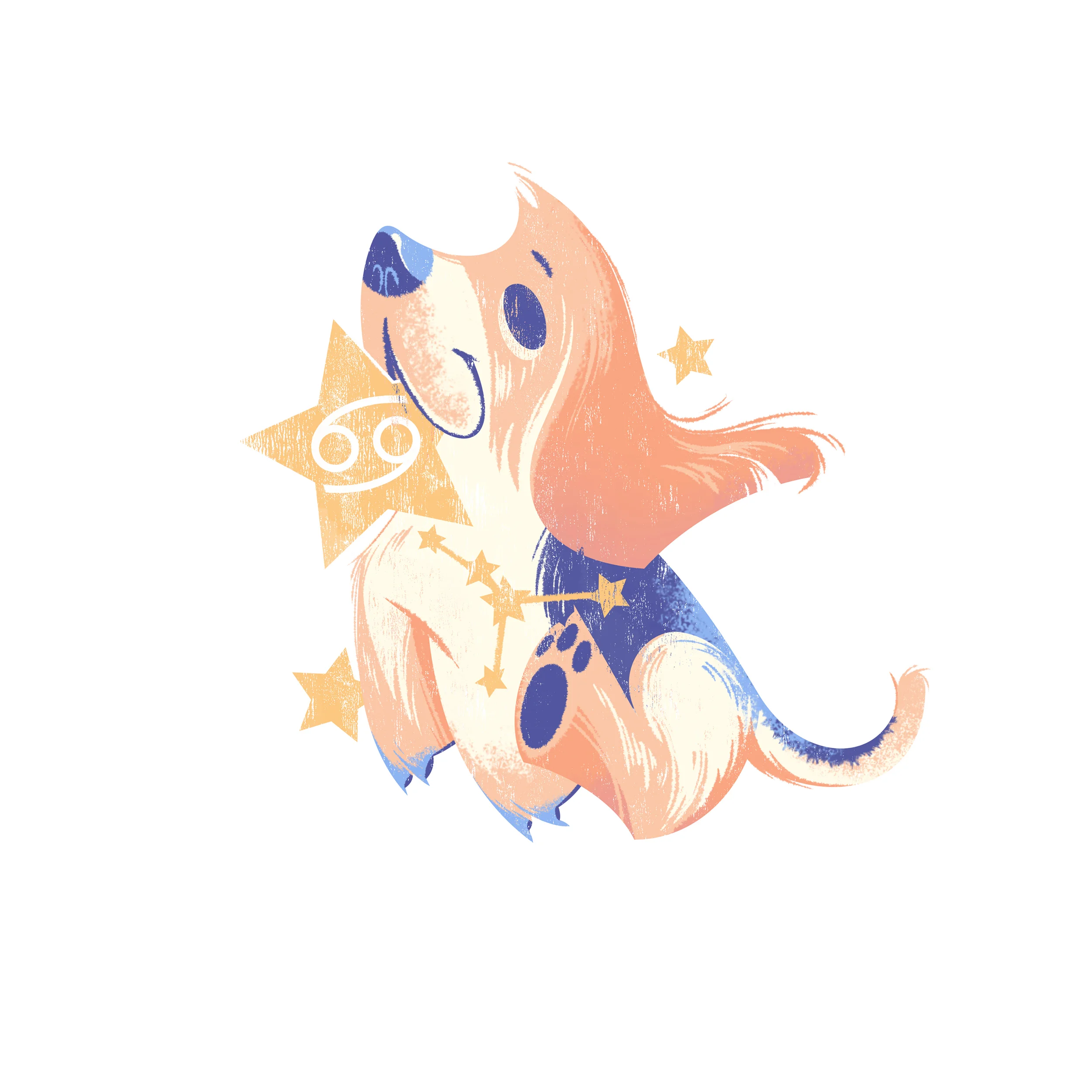 SkyeBolluyt_Astropups-Bassethound.jpg