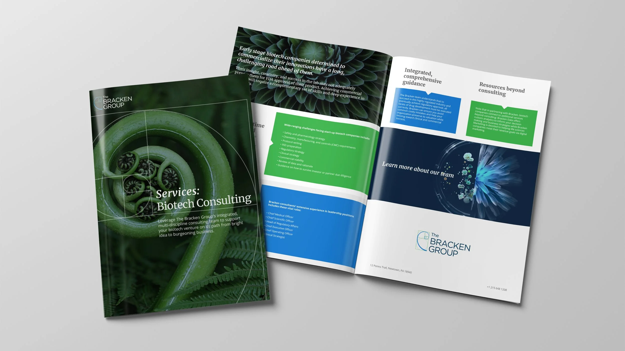 Case Study formatted and optimized for ease of reading and information, within the leading visual language of The Bracken Group.